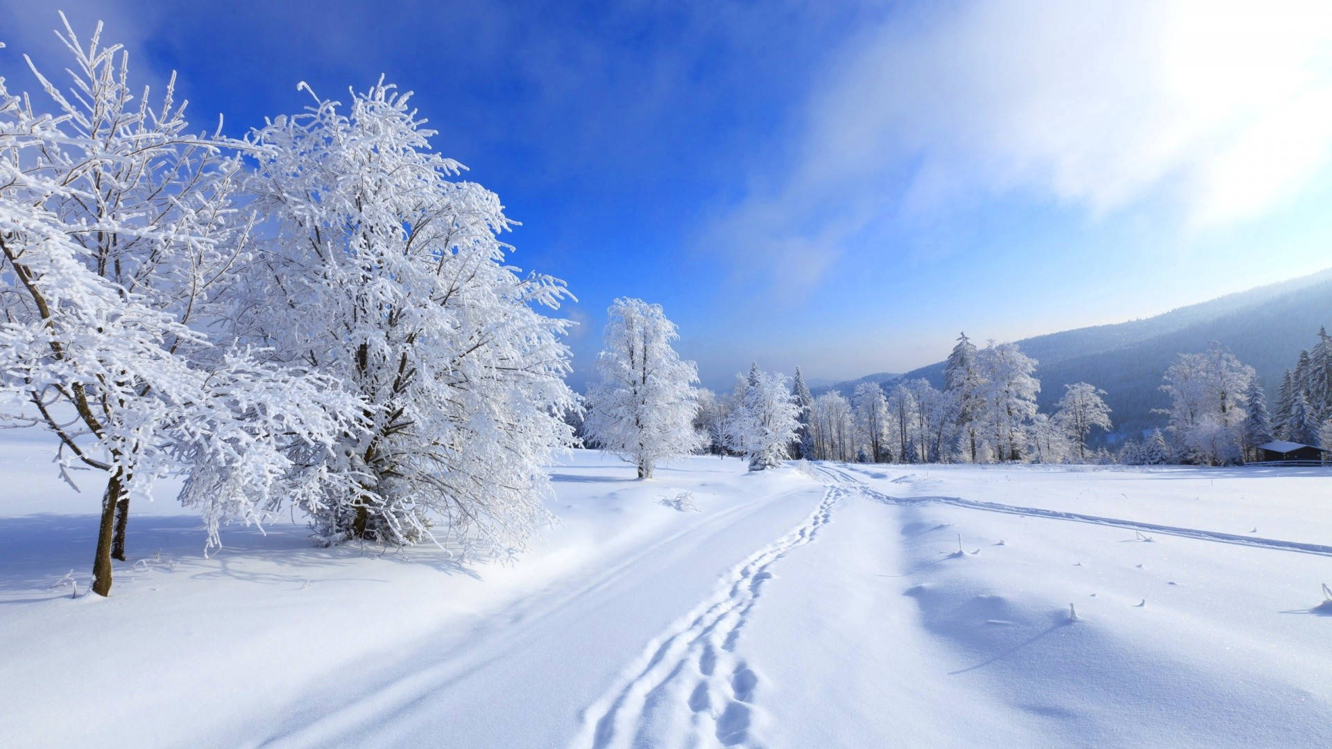 雪景地貌冬季桌面壁紙 壁紙 — 一條積雪的小徑蜿蜒穿過覆蓋著霜的樹木，上方是明亮的藍天，飄著幾縷薄雲。