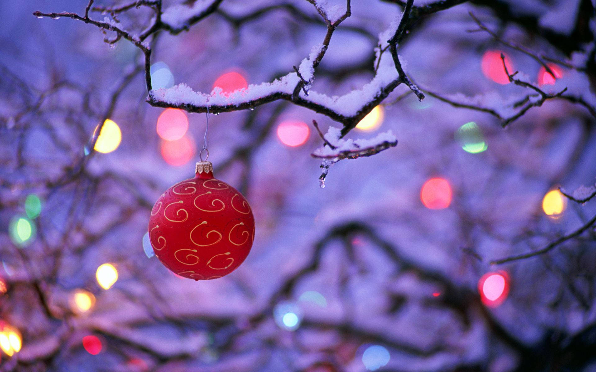 雪景紅球 壁紙 — 一個帶有金色漩渦圖案的紅色裝飾品掛在雪覆蓋的樹枝上，背景是色彩繽紛的散景燈光。