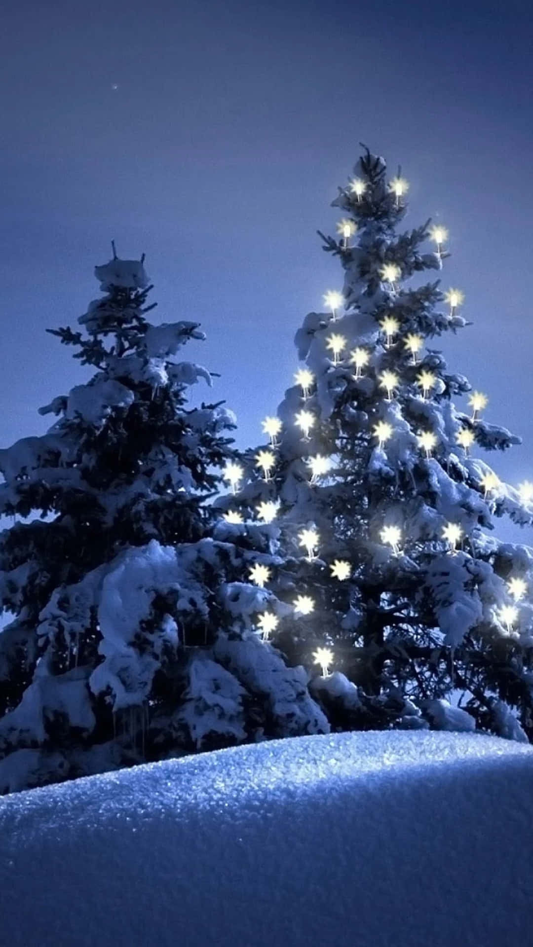 白雪覆蓋的松樹在深藍色天空下裝飾著發光的星形燈光。