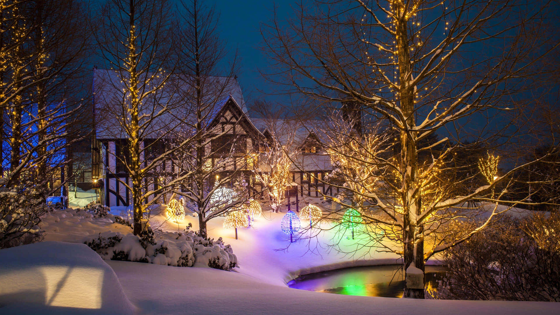 雪夜場景，有亮燈的房屋和池塘附近樹上的彩色燈光。