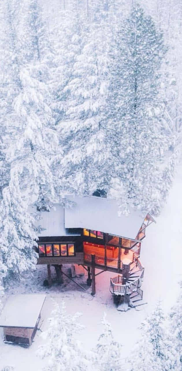 冬季森林中，雪覆蓋的小屋窗戶透出溫暖的燈光。