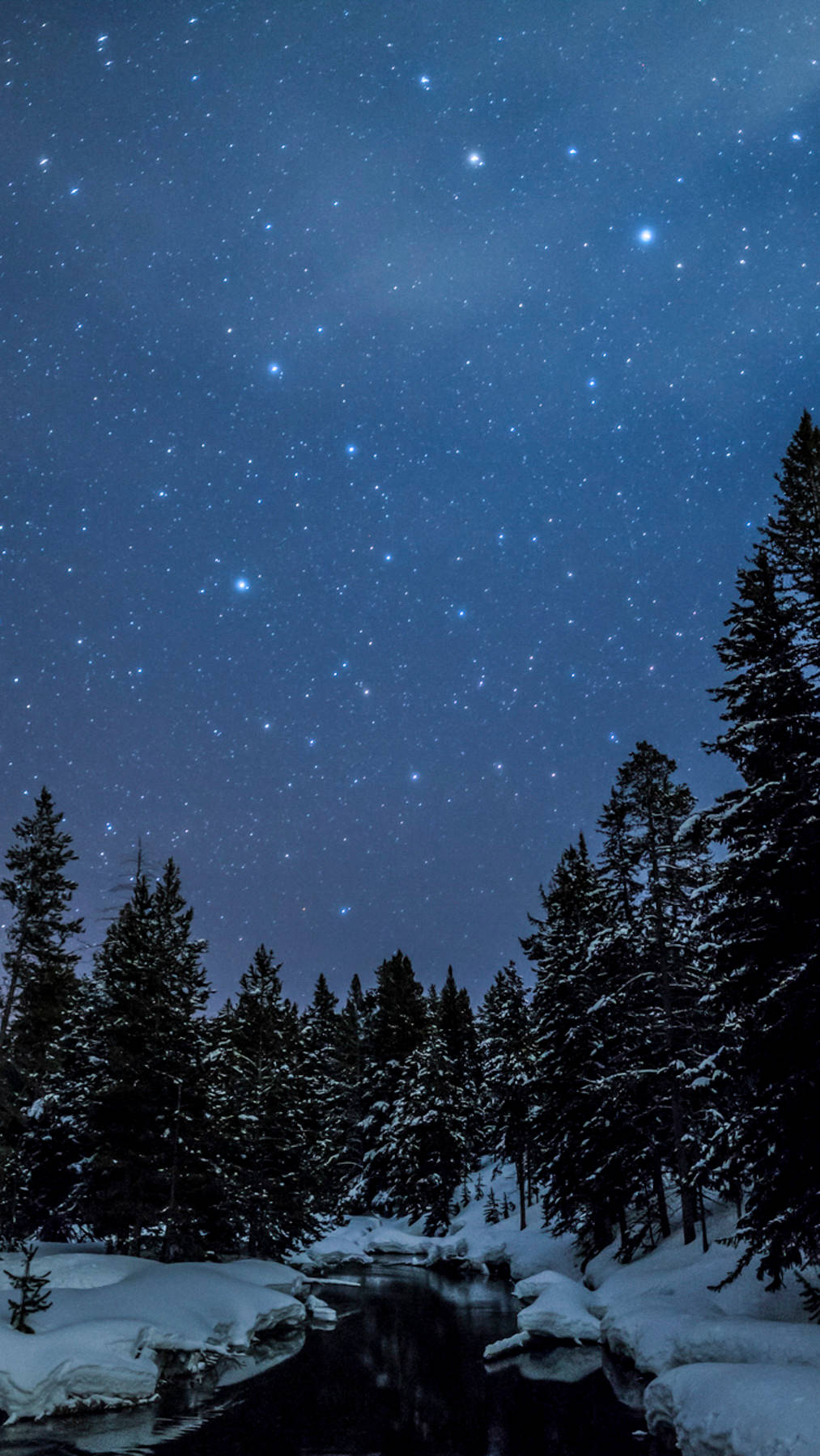 星空下雪森林河流