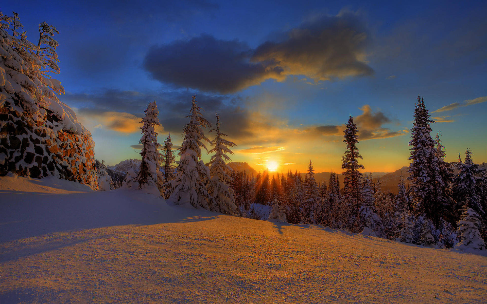 夕陽下的雪林，樹木和山脈上灑滿金色光芒