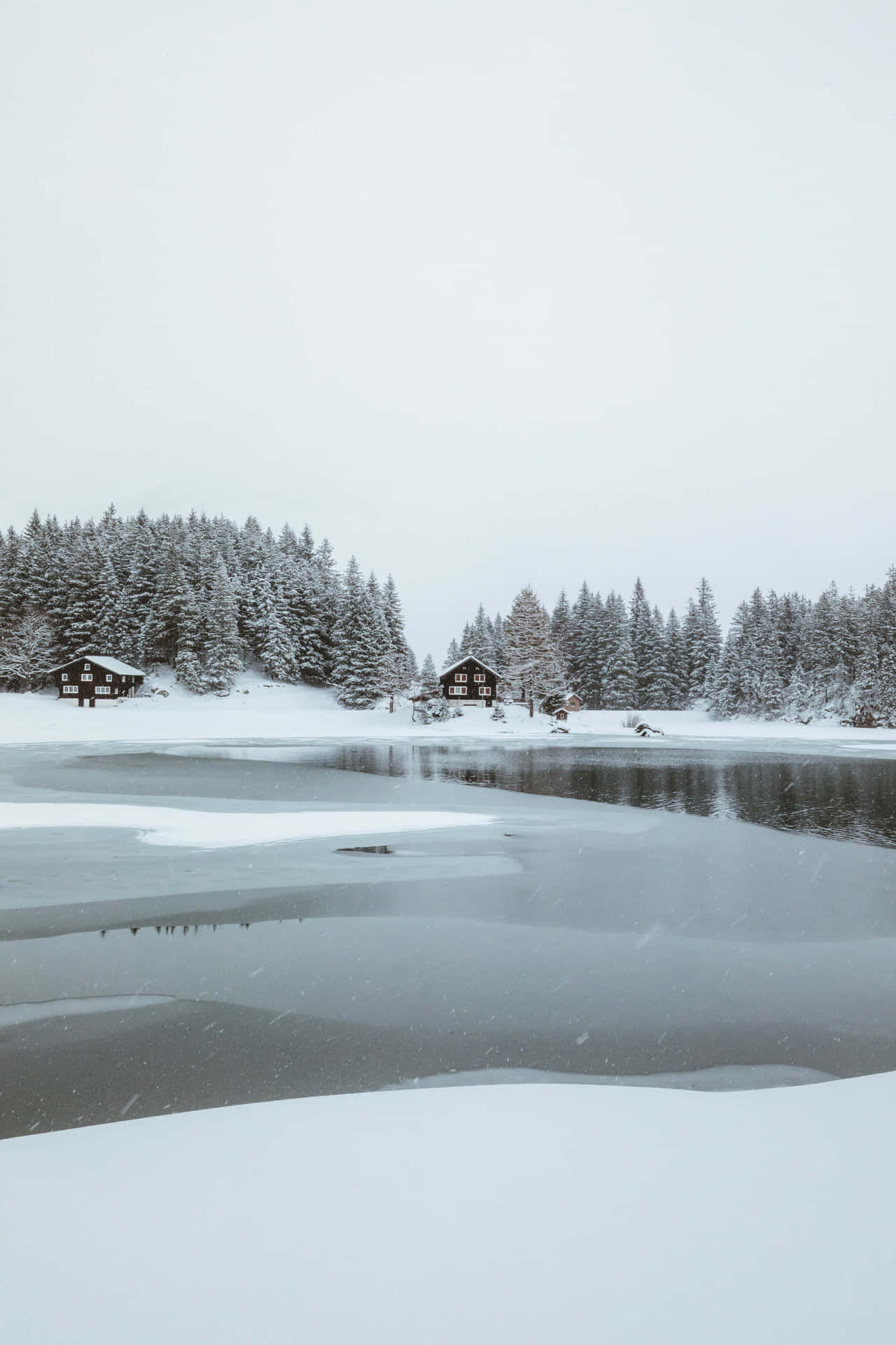 冬季結冰的湖面，積雪的小屋和常綠樹。