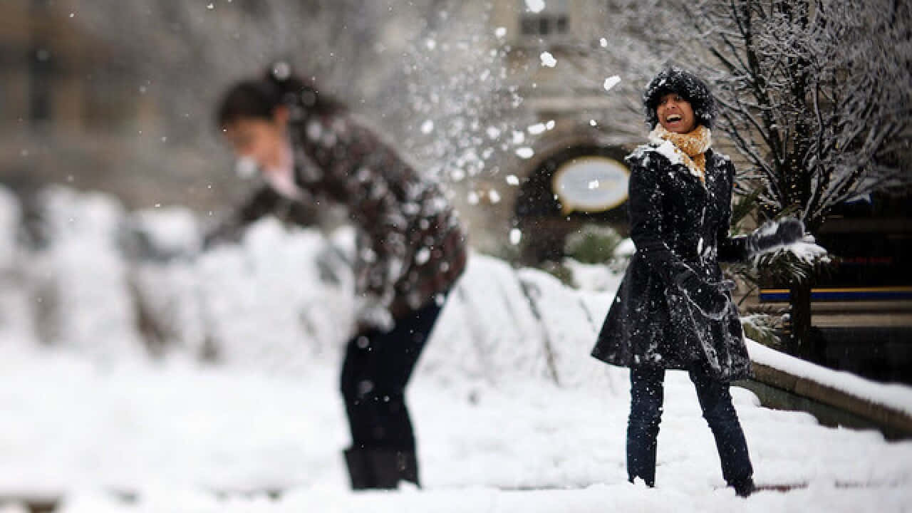 雪球戰鬥歡樂時刻 壁紙 — 兩個人在白雪覆蓋的市區公園裡快樂地玩耍，雪花在他們周圍飛舞。