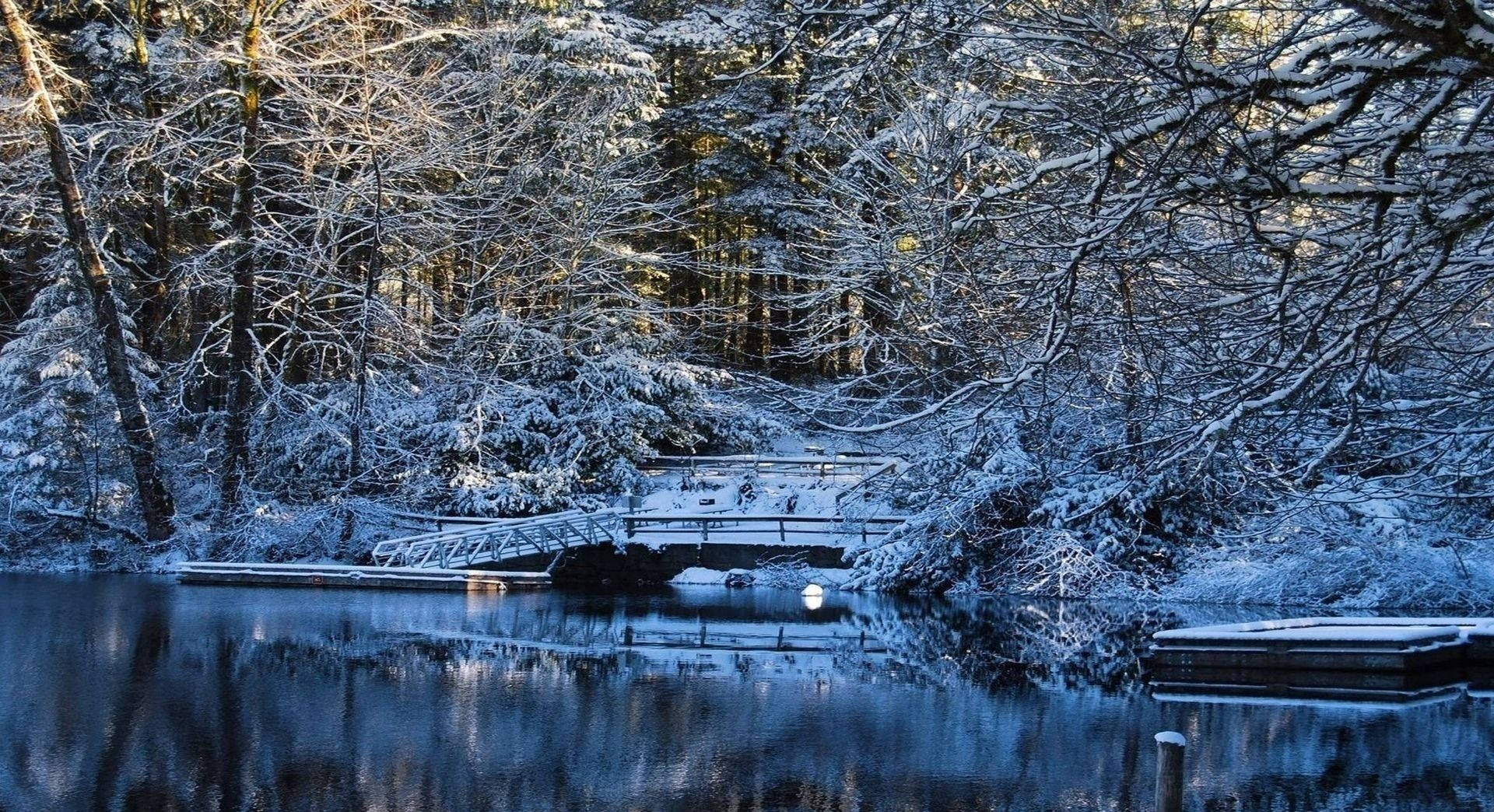 冬日森林黎明時分，結冰的湖面上的一座雪橋。