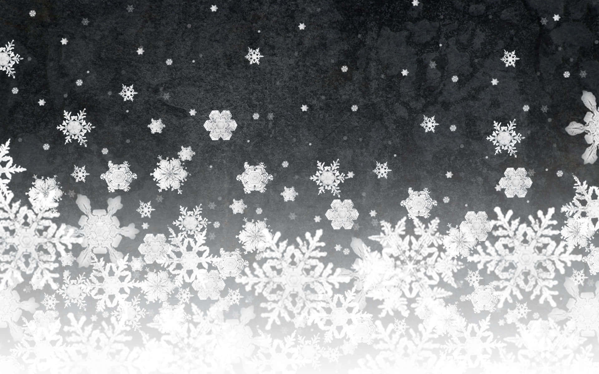 雪花落在深色紋理表面上，底部帶有亮白色漸變。