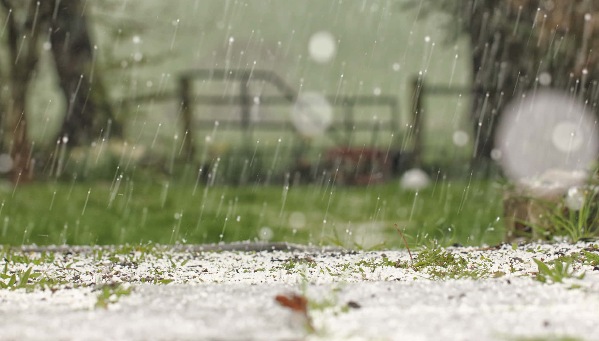 雪花傾瀉而下覆蓋地面 壁紙 — 雨滴落在積雪嘅草地上，背景有模糊嘅樹木同籬笆。