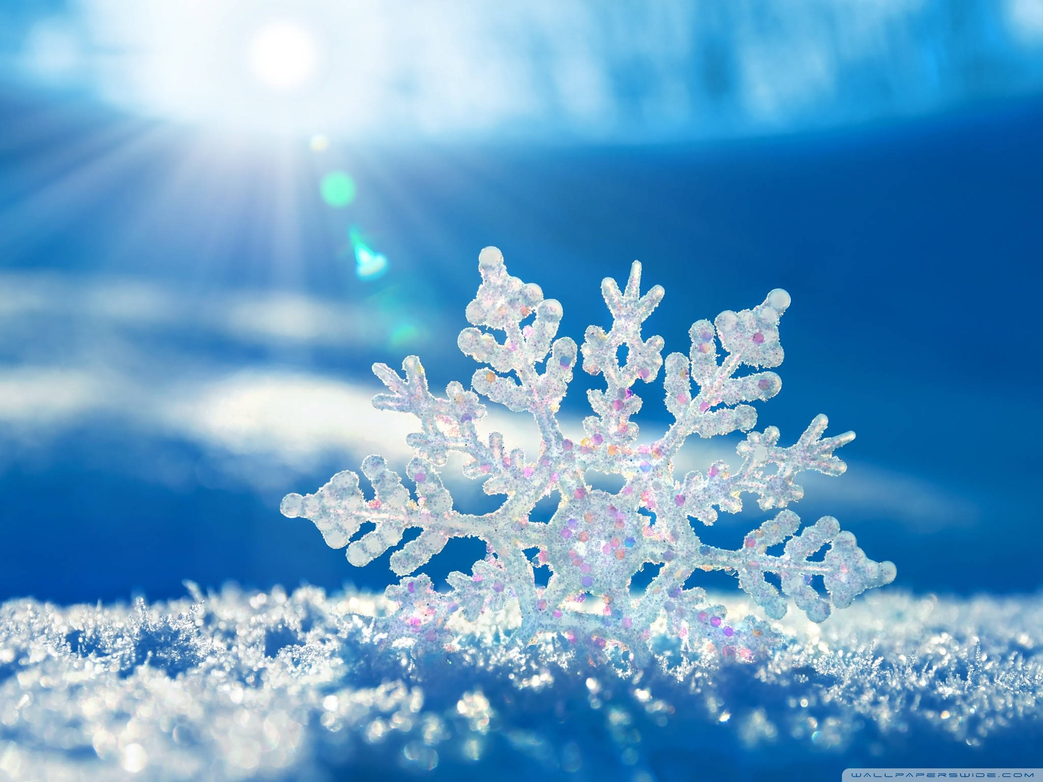 雪花冬季桌面壁紙 壁紙 — 一片精緻的雪花在鮮豔的藍天和燦爛的陽光下清晰閃爍。