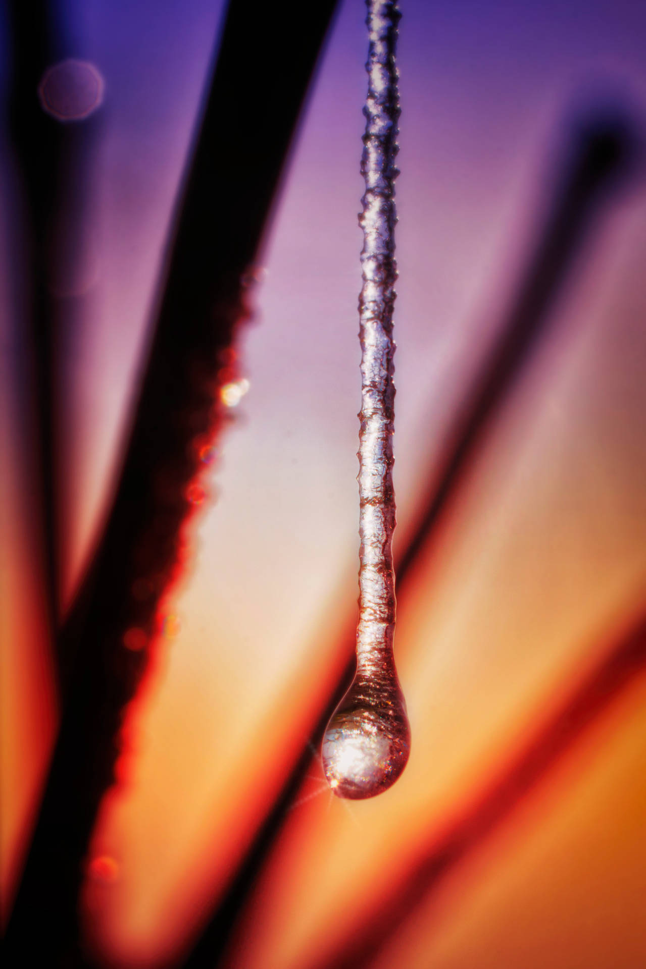 水滴懸掛在彩色漸變背景上的特寫。