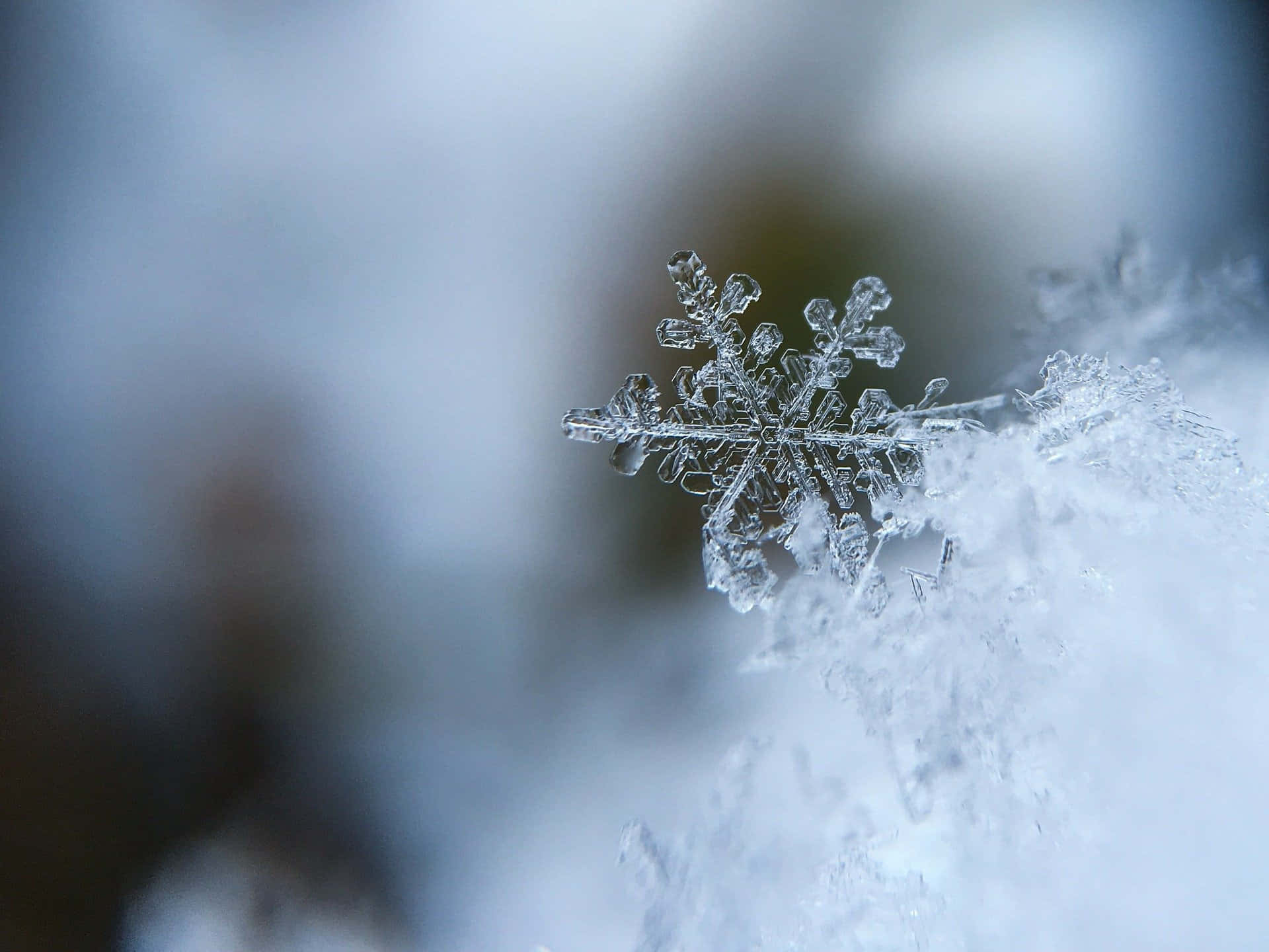 雪花圖案 壁紙 — 一片精緻的雪花輕輕地落在雪地上，背景是柔和的藍色模糊。