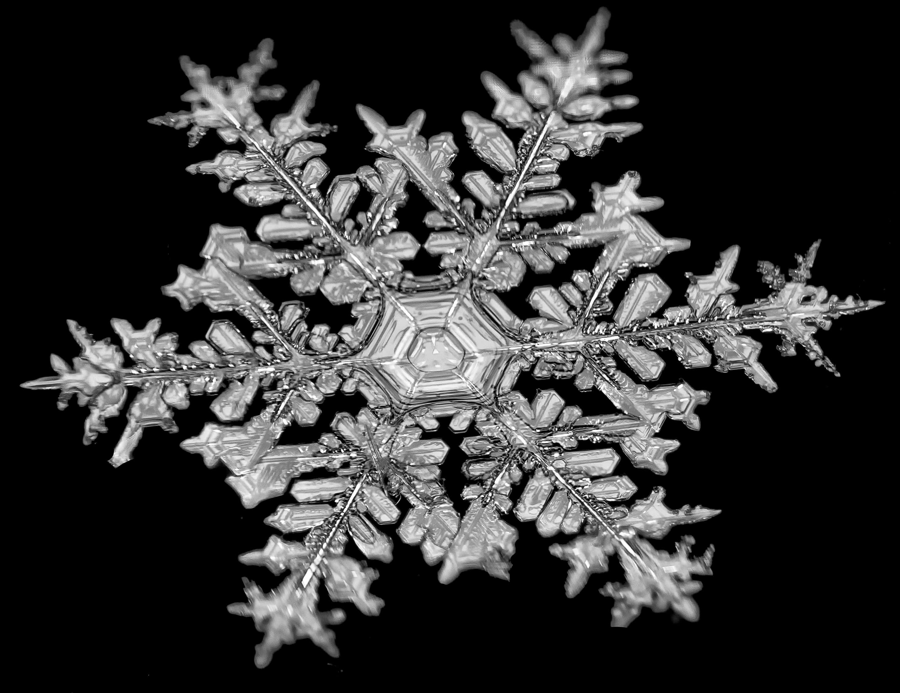 雪花在光中閃耀 壁紙 — 一片精緻的雪花，有六個對稱的臂，在純黑背景上發光。