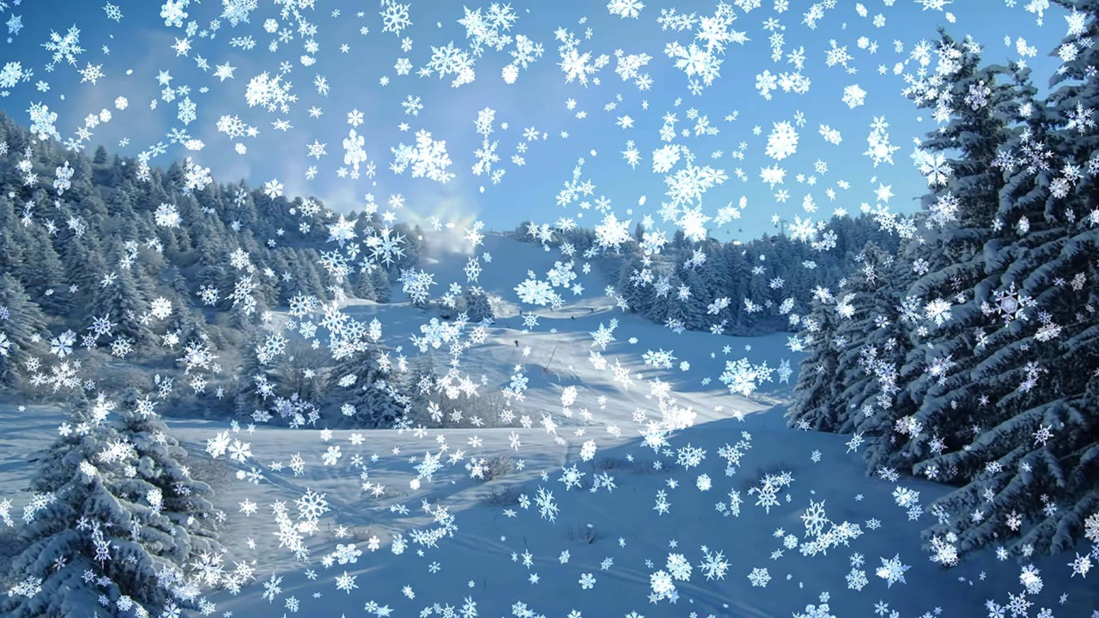 Snowfall 桌布 壁紙 — 雪花在明亮的藍天中飄過，下方是白雪覆蓋的森林，有常青樹和陽光照耀的山坡。