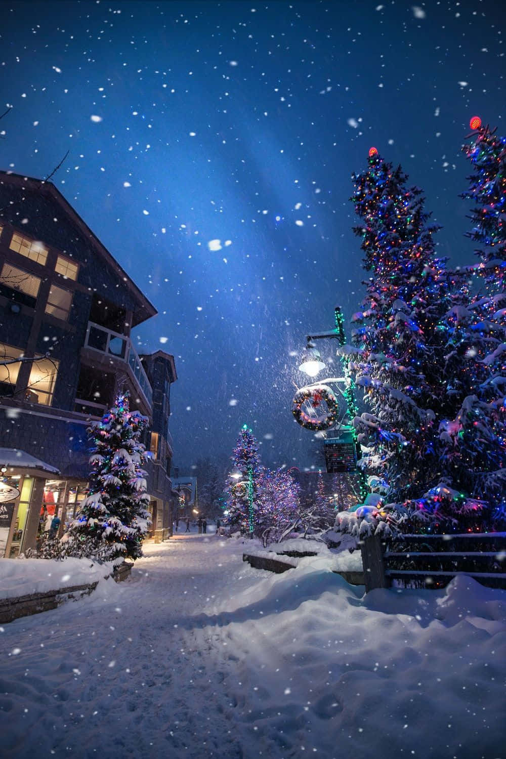 Winter Phone 桌布 壁紙 — 雪花在星光閃爍的夜晚飄落，節日燈飾在覆蓋白雪的樹木上閃爍，這些樹木排列在一條舒適的冬季街道兩旁。
