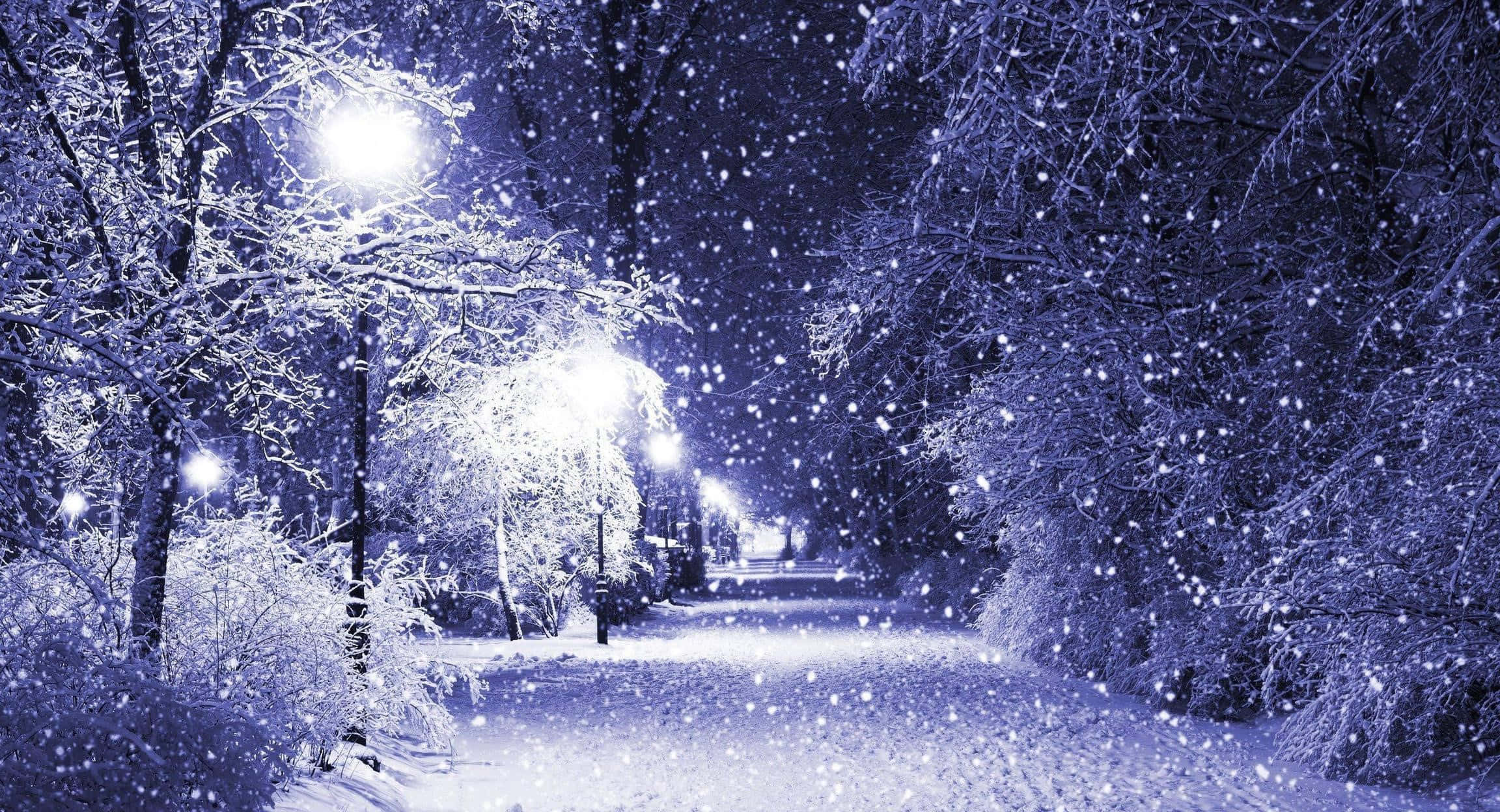 winter wonderland 桌布 壁紙 — 雪花在月光下的冬季公園中飄蕩，發光的街燈照亮了結霜的樹木和一條寧靜的小徑。