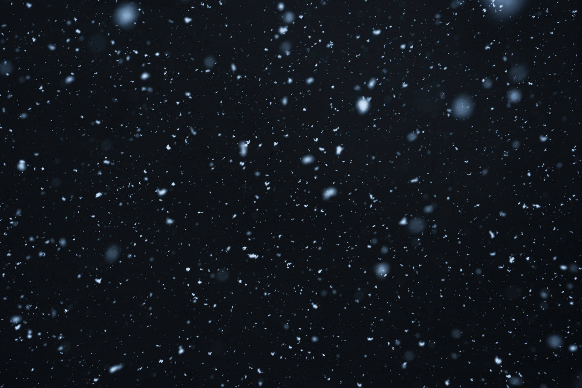 黑色動態圖 桌布 壁紙 — 雪花在深邃的黑色背景上輕輕飄落，營造出寧靜的冬日場景。