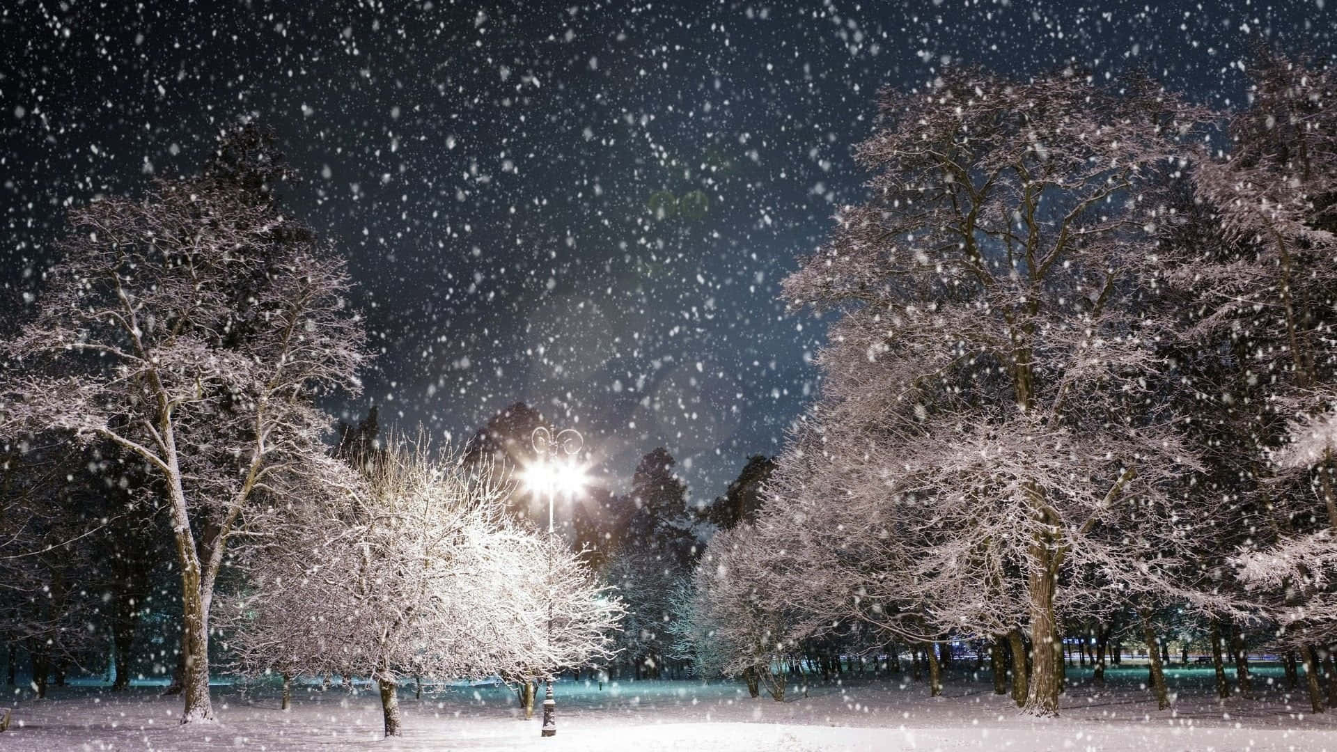 冬天桌面 桌布 壁紙 — 雪花在街燈的光芒下飄動，照亮了夜晚寧靜冬季公園中積雪的樹木。