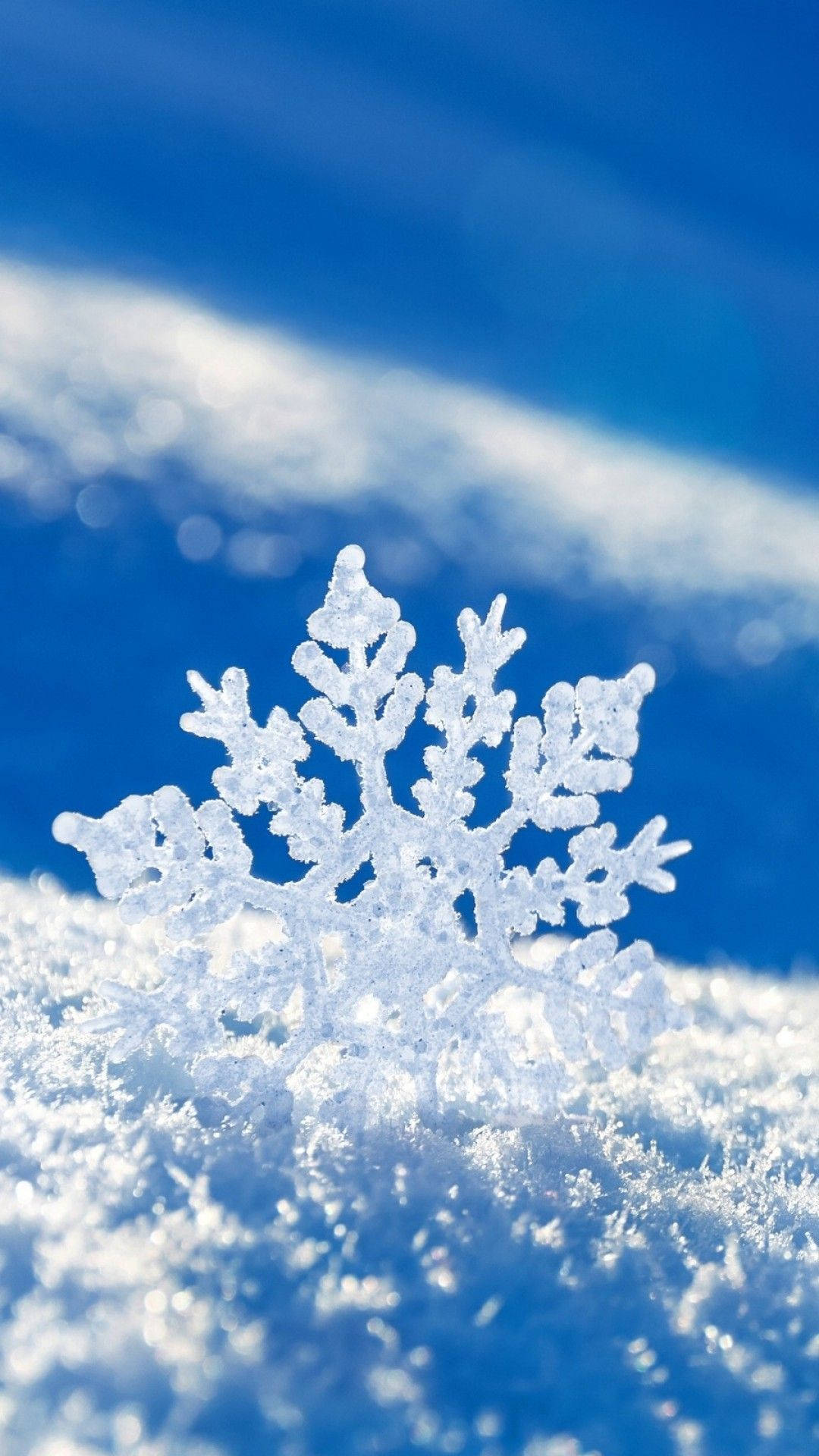 在明亮的藍天下，雪地上的一片精細雪花。