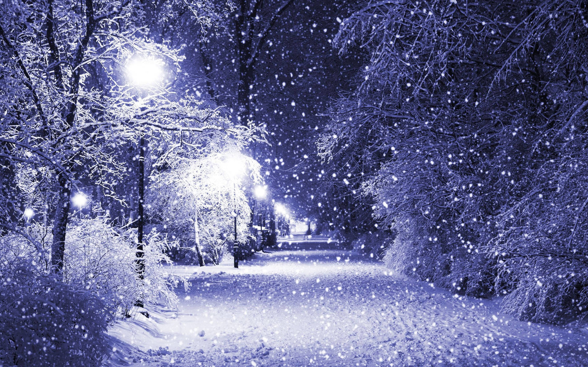 夜晚，雪落在穿過冬季公園的明亮小徑上。