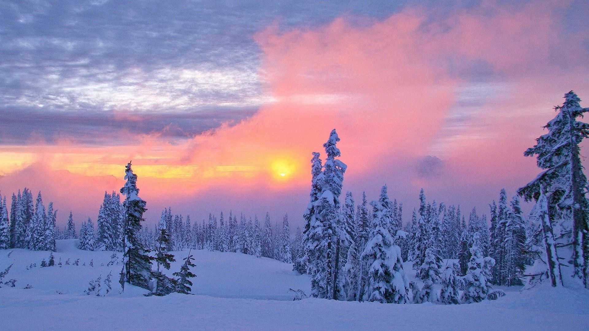 雪覆山景的美麗風光 壁紙 — 白雪覆蓋的松樹在鮮豔的粉紅色和橙色日落天空襯托下形成剪影。