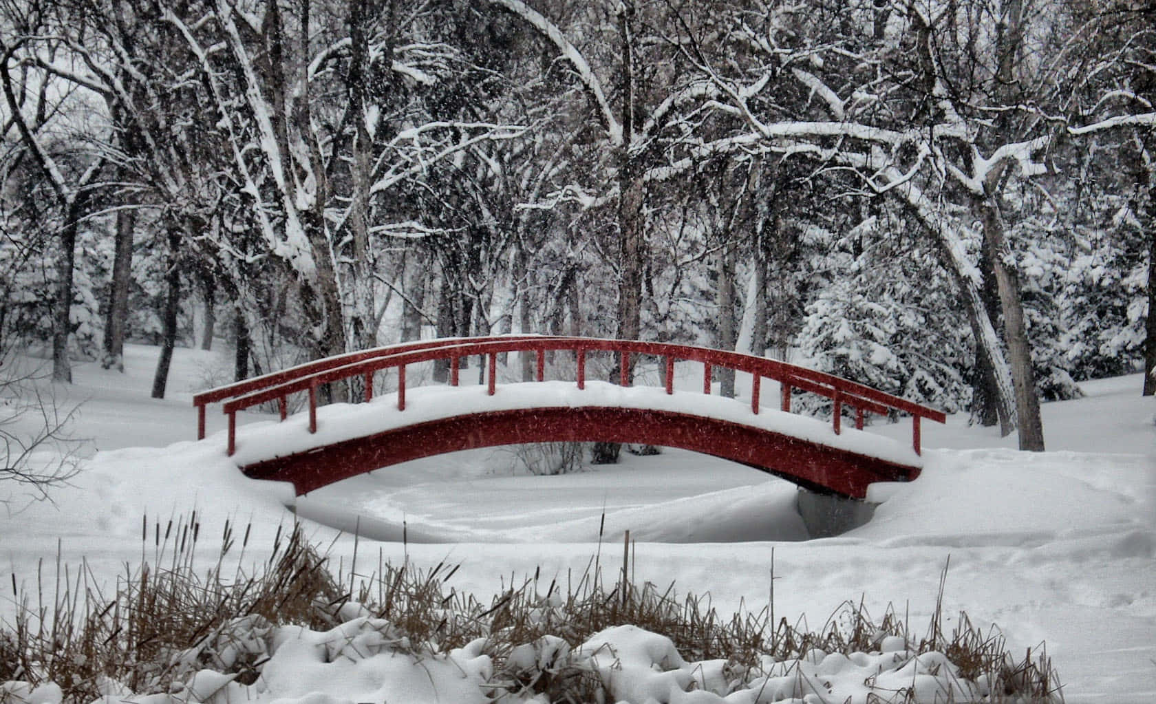 冬季雪林中的紅色拱橋