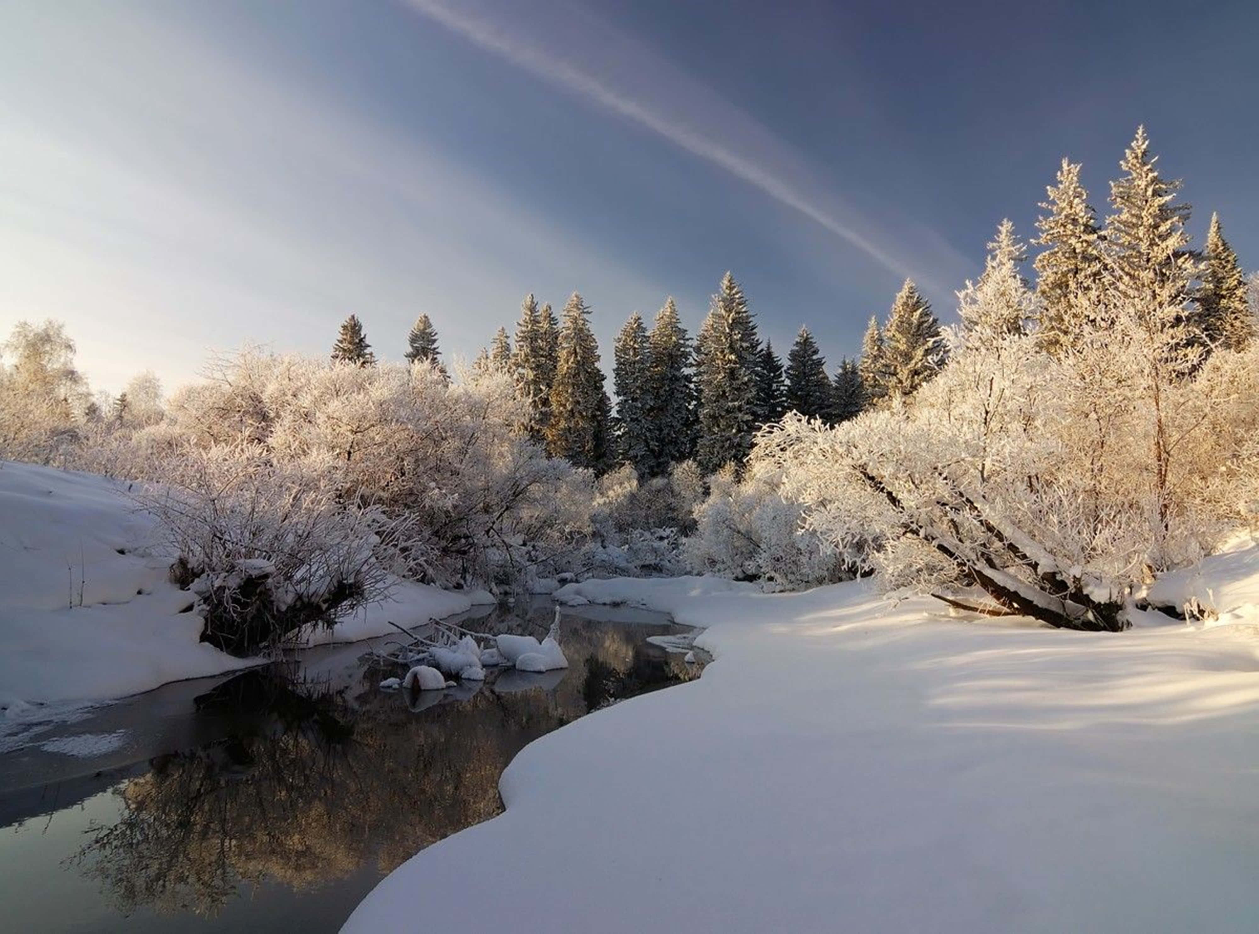 雪覆松林與冰封河面的4K雪景 壁紙 — 陽光在白雪覆蓋的樹木和灌木叢上閃爍，旁邊是一條平靜冰封的河流，位於寧靜的冬季森林中。