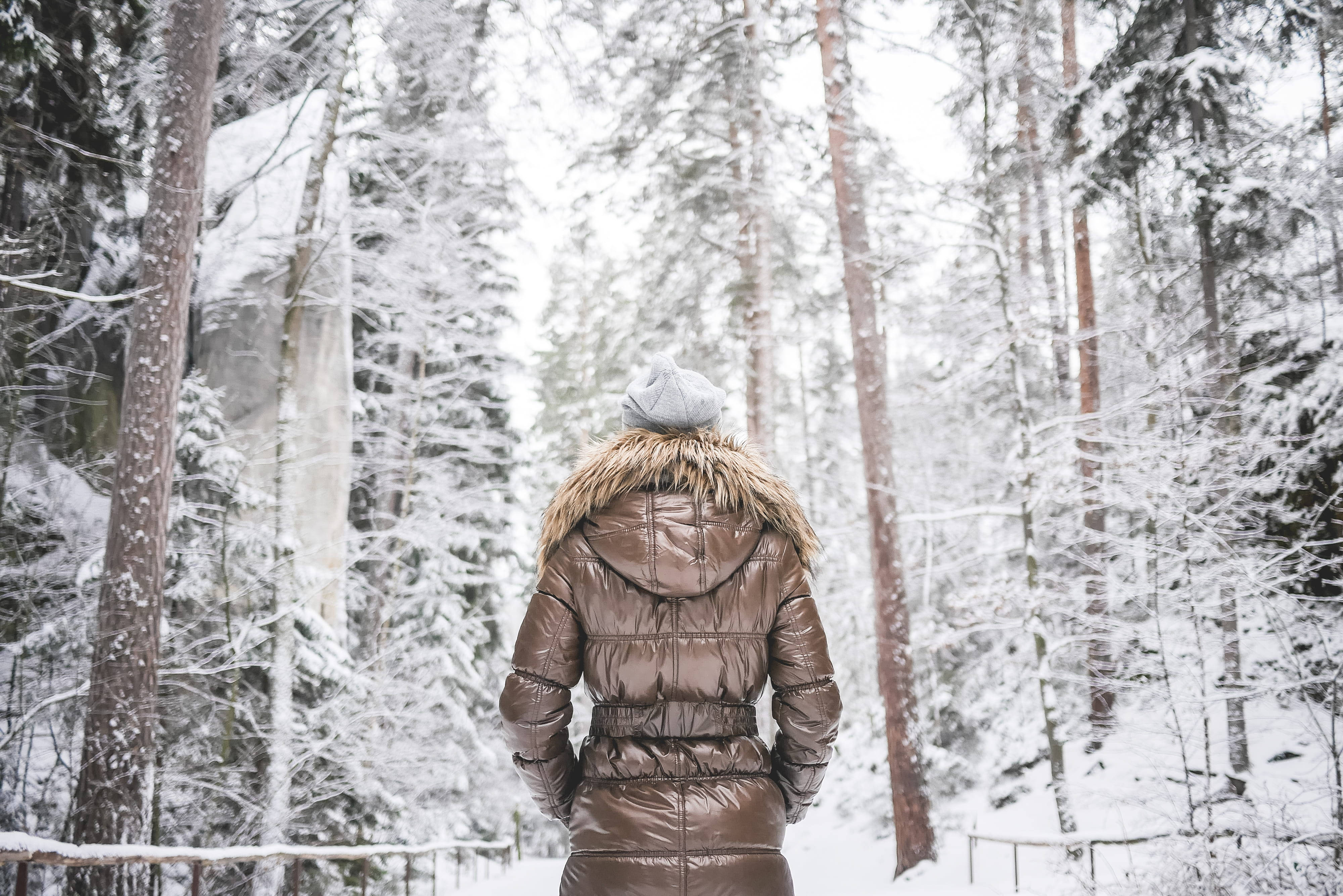 雪覆森林中的極寒天氣 壁紙 — 一個穿著棕色羽絨外套、帶有毛邊的人，在一個寧靜的冬日，走過白雪覆蓋的松樹林。