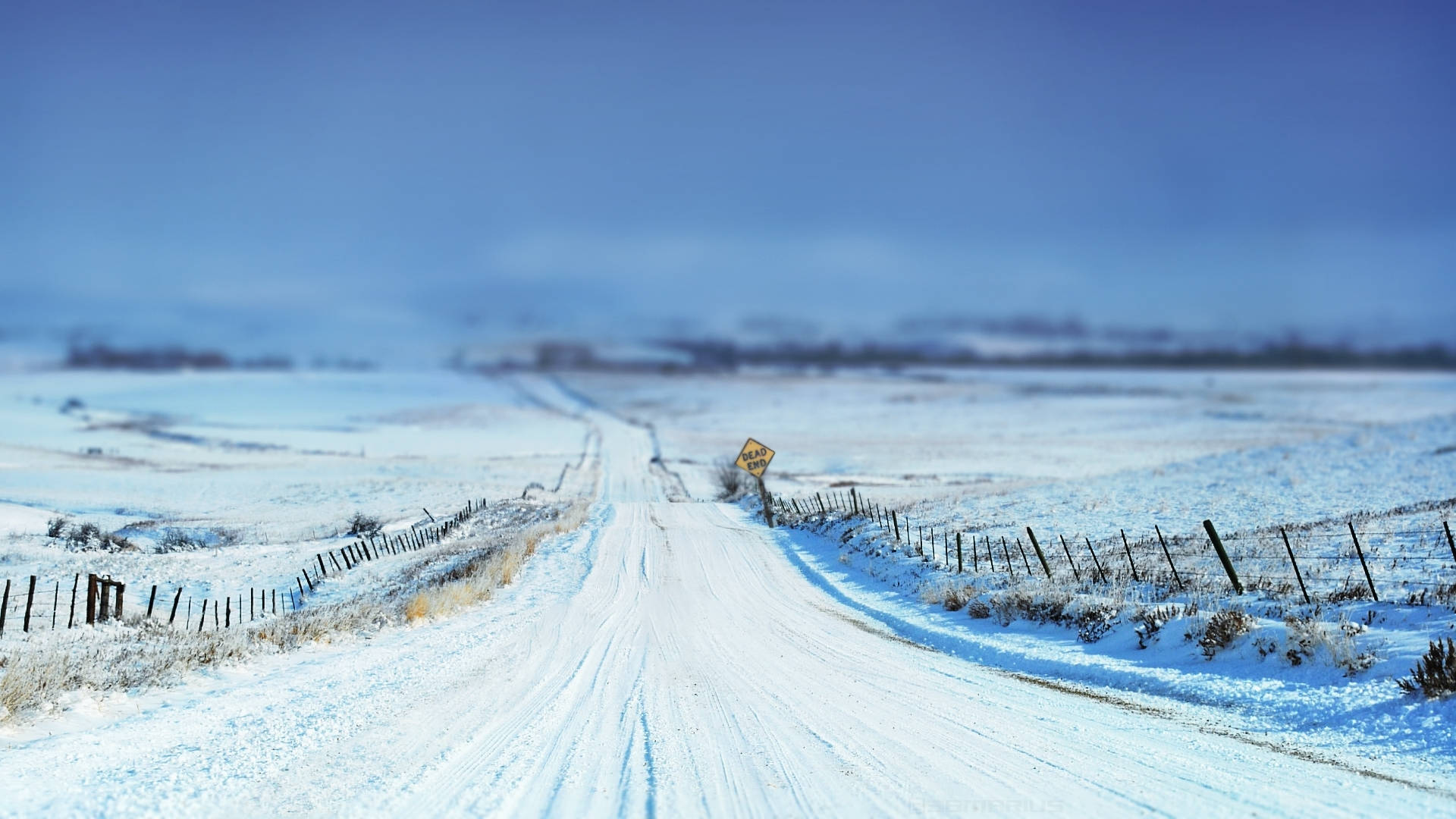 雪覆死路 壁紙 — 一條被雪覆蓋的鄉村道路在晴朗的藍天下延伸至遠方，兩旁有木柵欄。
