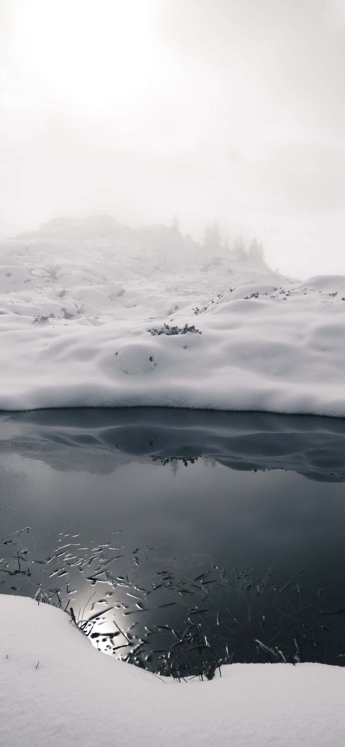 白雪覆蓋的湖泊與倒影 壁紙