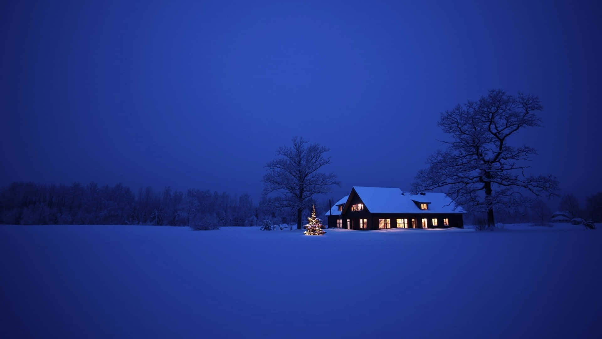 被雪覆蓋的小屋，窗戶發光，夜晚點亮的聖誕樹。