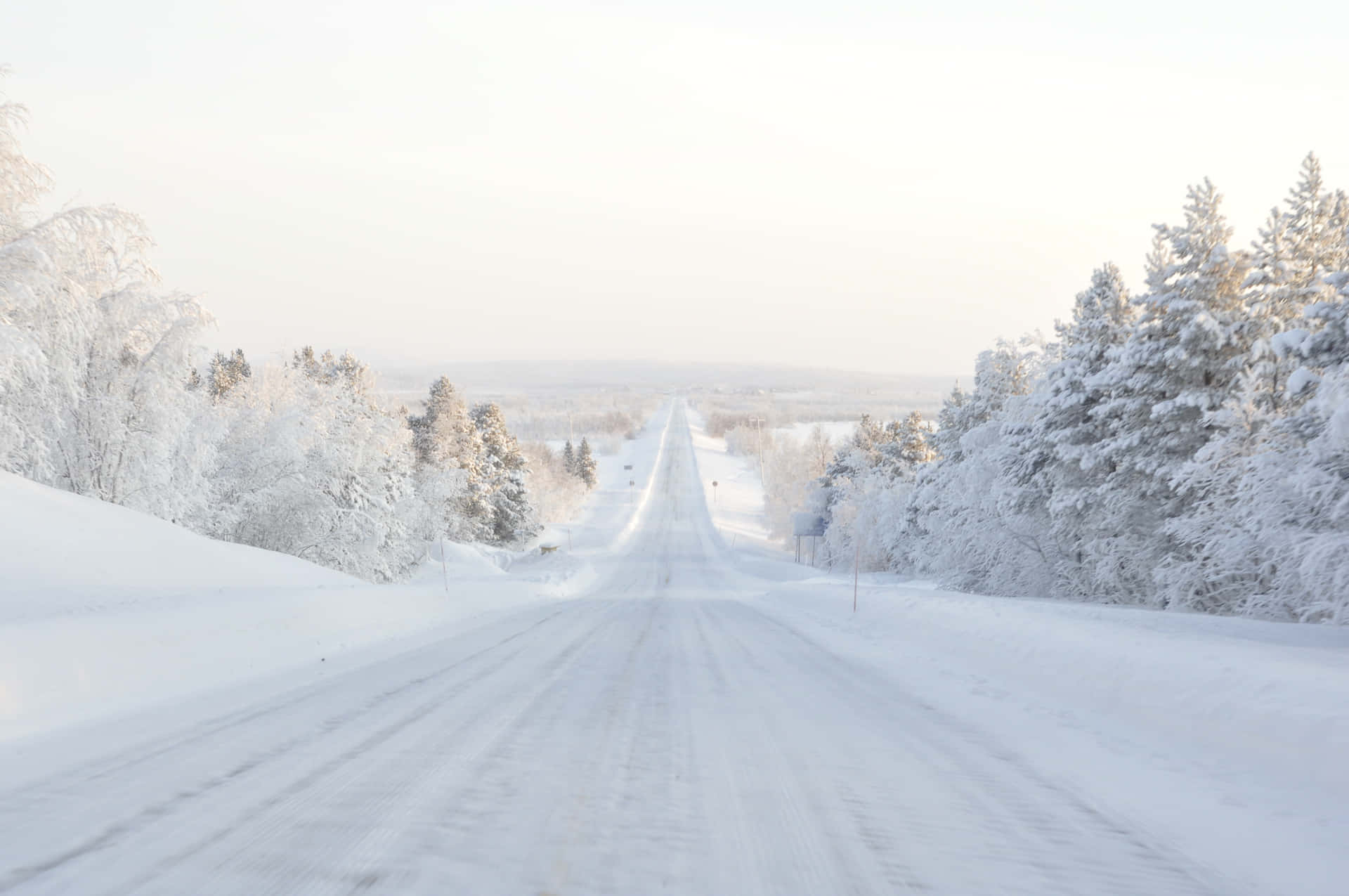 冬季森林中的雪路，樹木覆蓋著霜