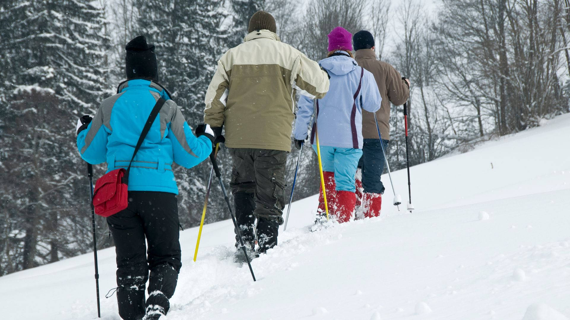 雪鞋行進友人同行 壁紙 — 四個穿著冬季裝備的人正在白雪覆蓋的斜坡上向上行，背景有沾滿雪的樹木。