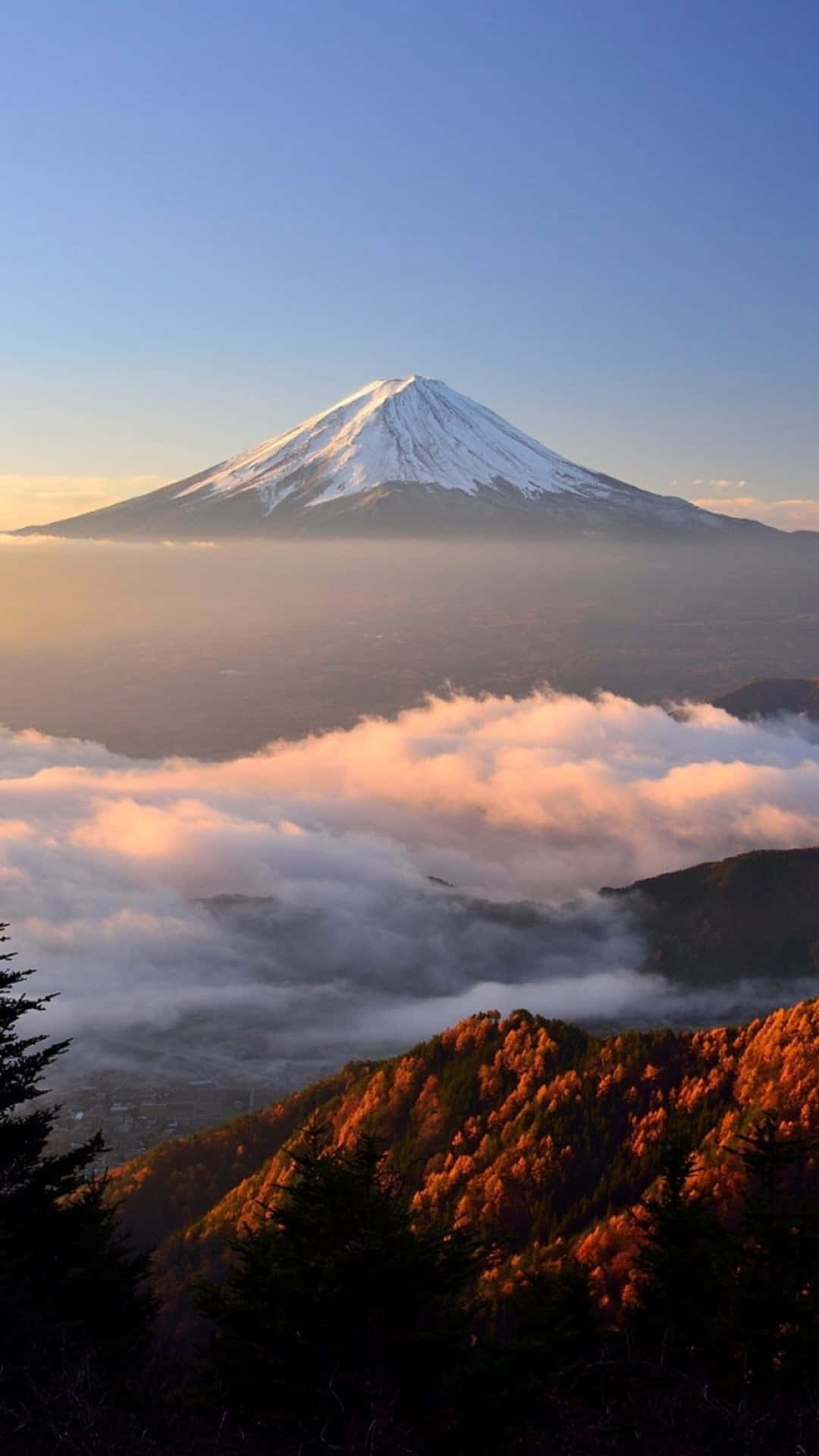 富士山在日出時聳立於雲端之上，下方秋樹閃耀。