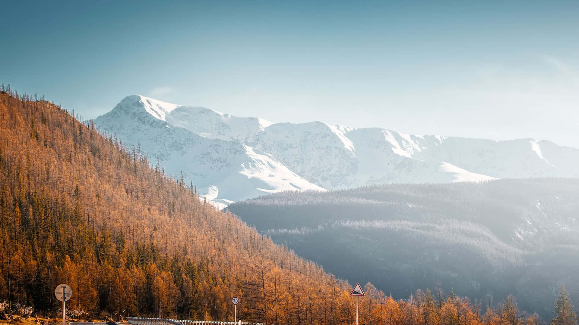 穿過秋林的道路，背景是白雪覆蓋的山峰