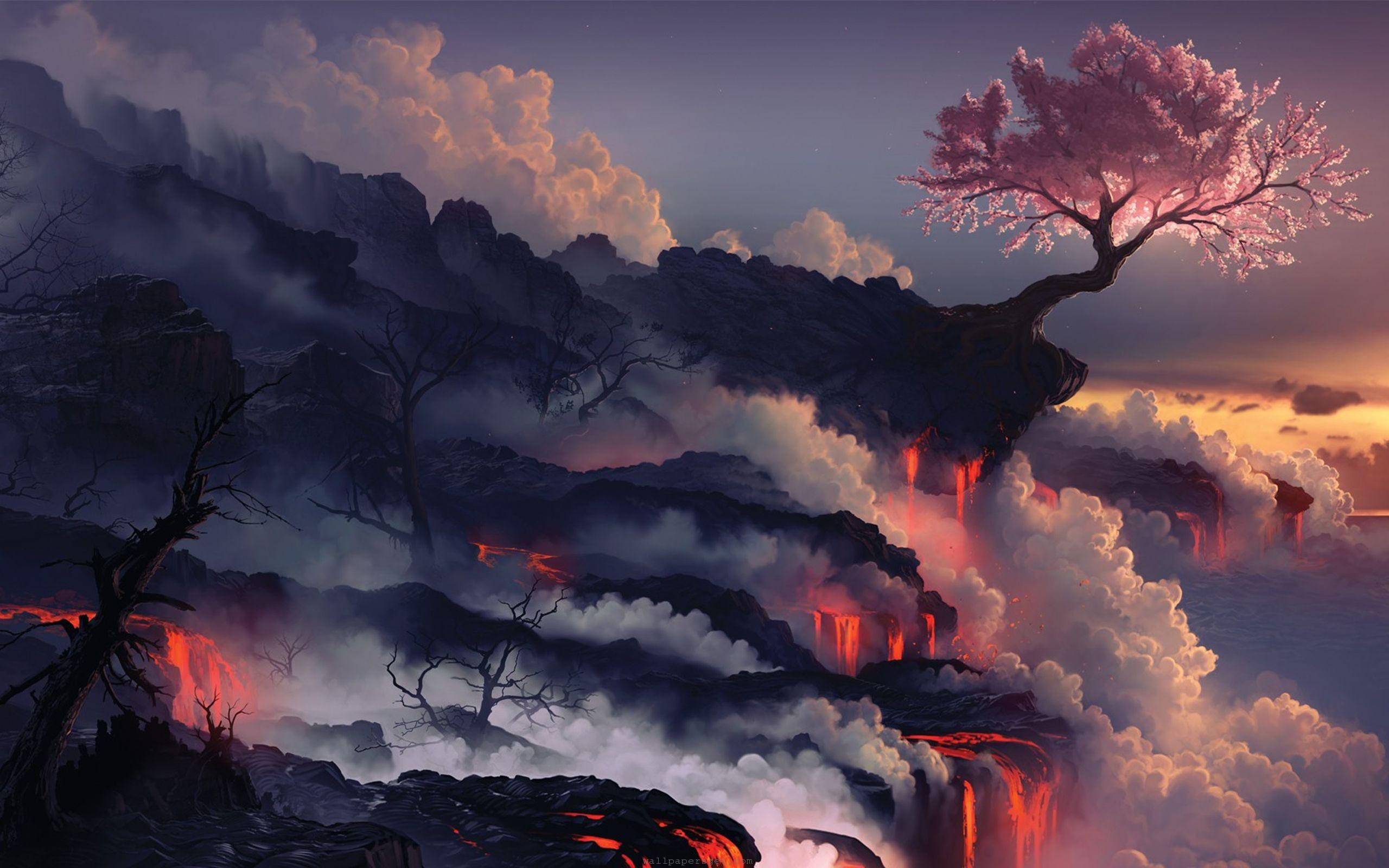 雲霧森林夕照展望 壁紙 — 一株孤獨的櫻花樹在火山懸崖頂上頑強地綻放，熔岩在暮色中穿過霧氣雲層傾瀉而下。