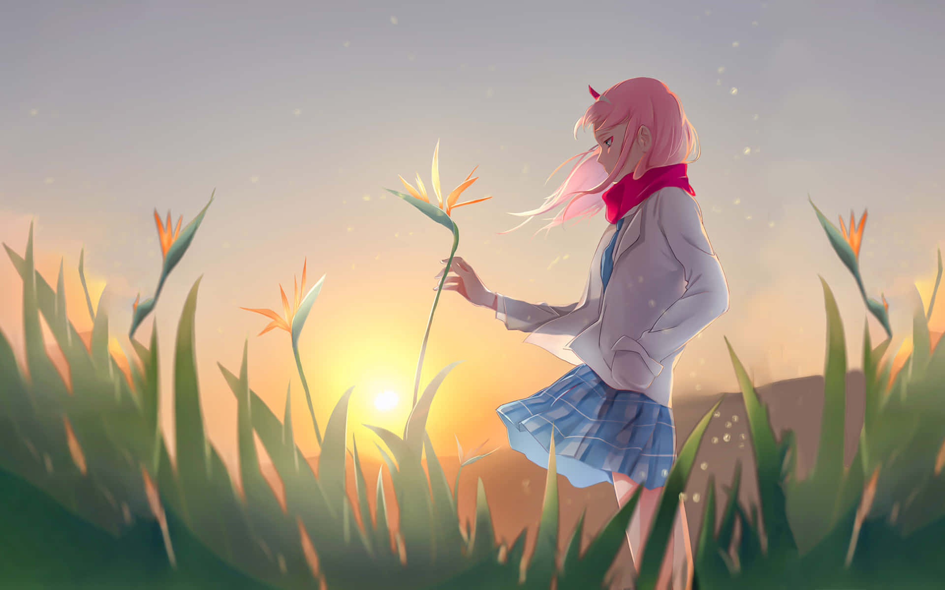 粉紅色頭髮的動漫女孩在夕陽下的草地上拿著天堂鳥花。