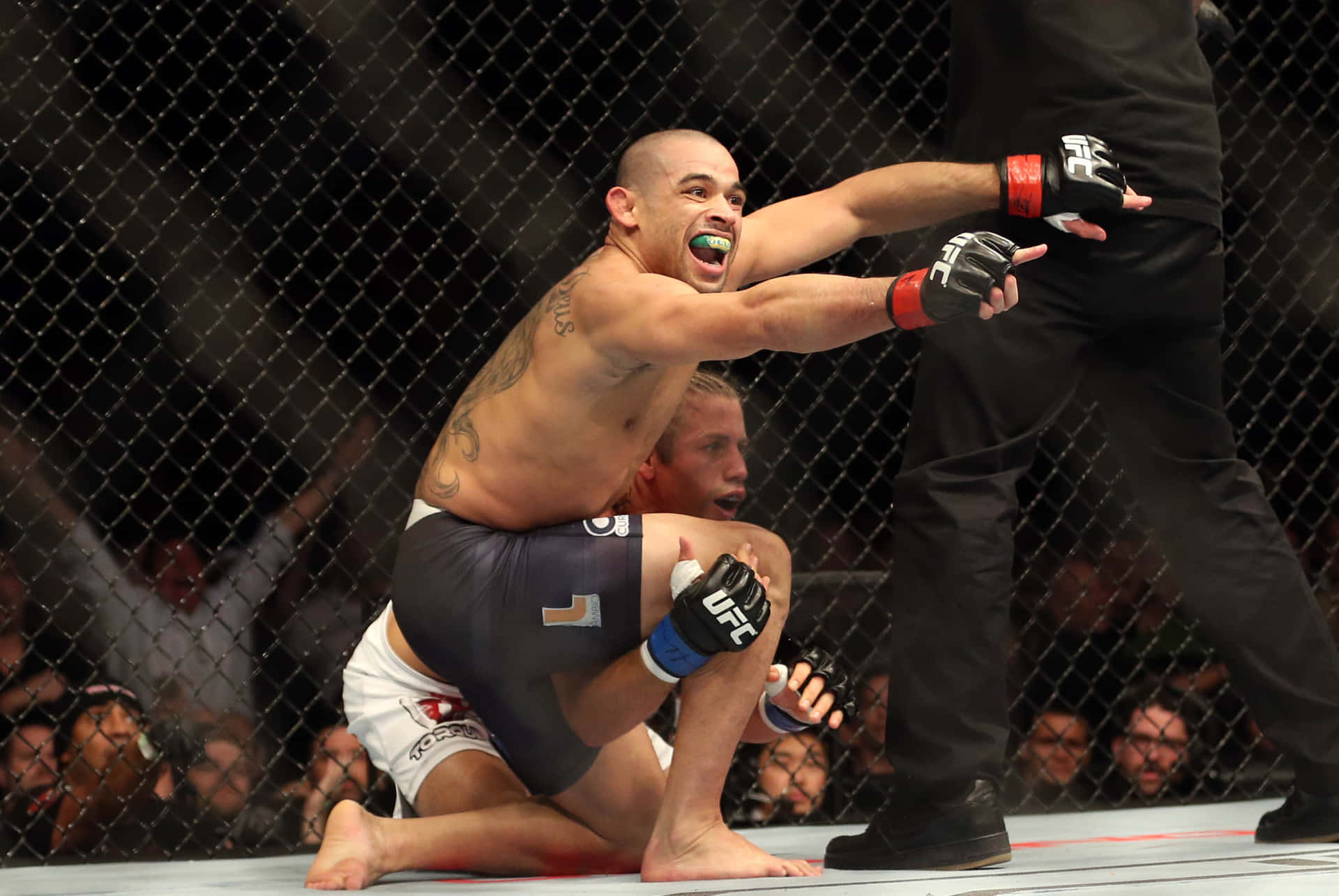 雷南·巴羅對決迪拉肖於UFC 173賽事 壁紙 — 一名拳手在UFC八角籠中高舉雙臂慶祝勝利，裁判介入終止比賽。