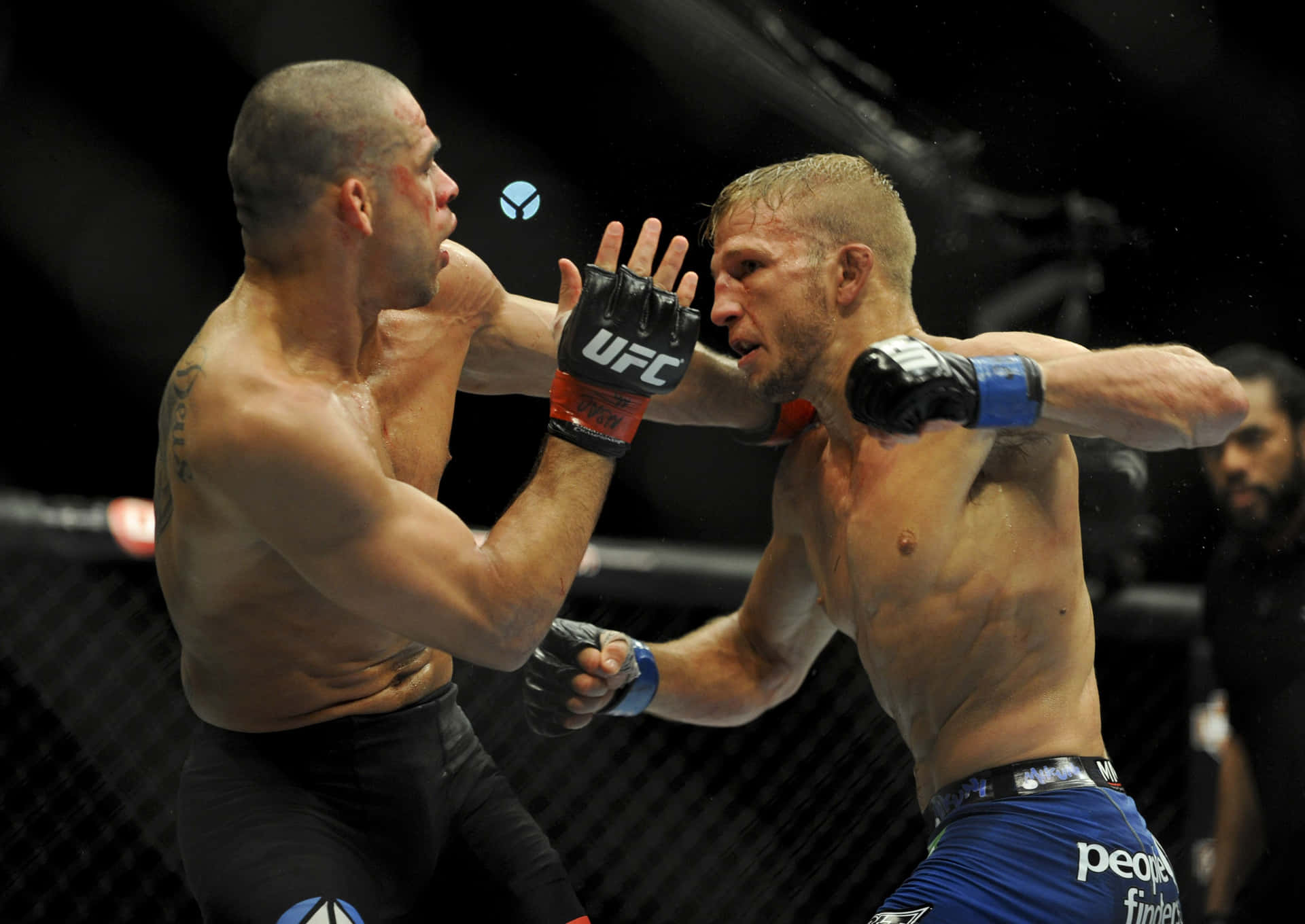雷南·巴羅於UFC 186比賽中遭對手擊打 壁紙 — 兩名MMA拳手在籠中激烈交鋒，汗水飛濺，其中一人重拳擊中對手的臉部。