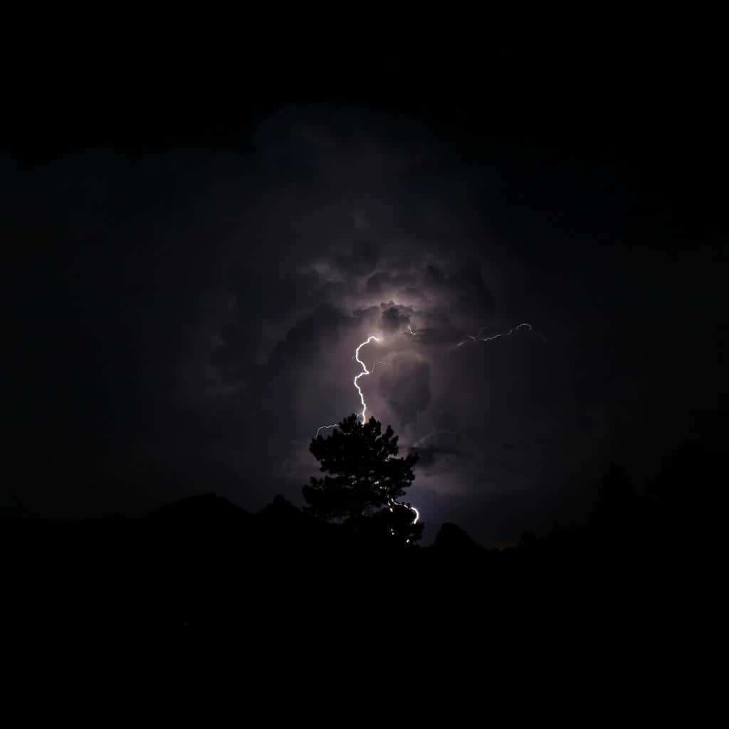 雷暴前的熾熱夜空 壁紙 — 一棵孤獨的松樹在黑暗的天空中形成剪影，一道明亮的鋸齒狀閃電擊中其頂部附近。