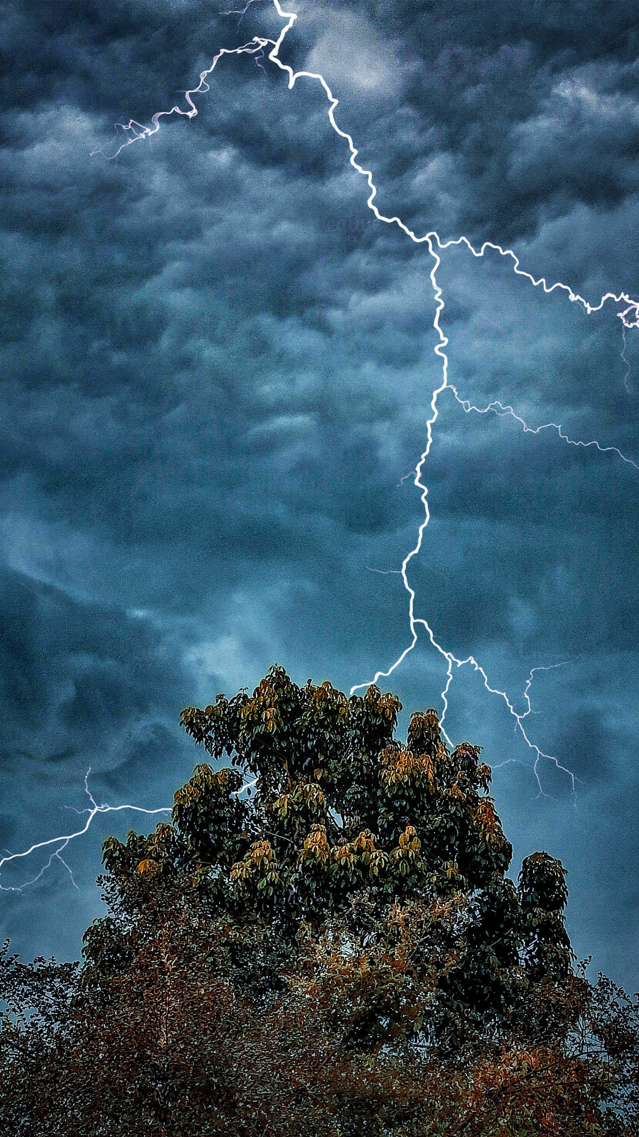 雷暴雲層中閃電交織的壯麗景象 壁紙 — 一道戲劇性的閃電在暴風雨的藍色天空中分叉，下方是茂密的秋葉樹。