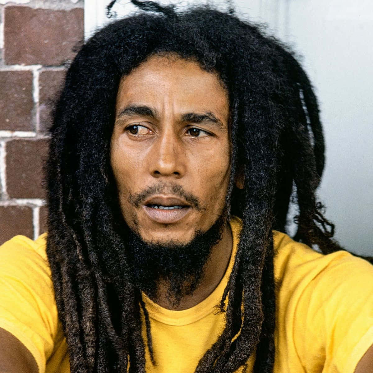 「雷鬼文化的旋律創造者——鮑勃·馬利」 壁紙 — Bob Marley 留著長長的辮子，身穿黃色襯衫，靠著磚牆，一幅坦率的肖像。