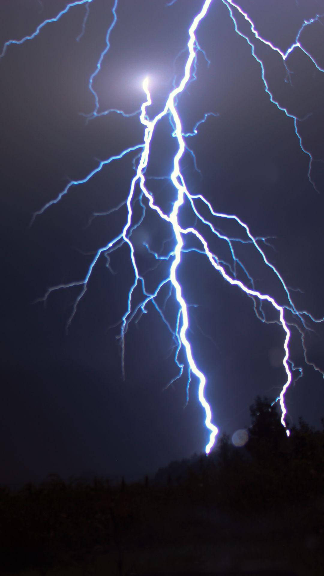 強烈的藍色閃電照亮了暴風雨夜空中黑暗的樹木。