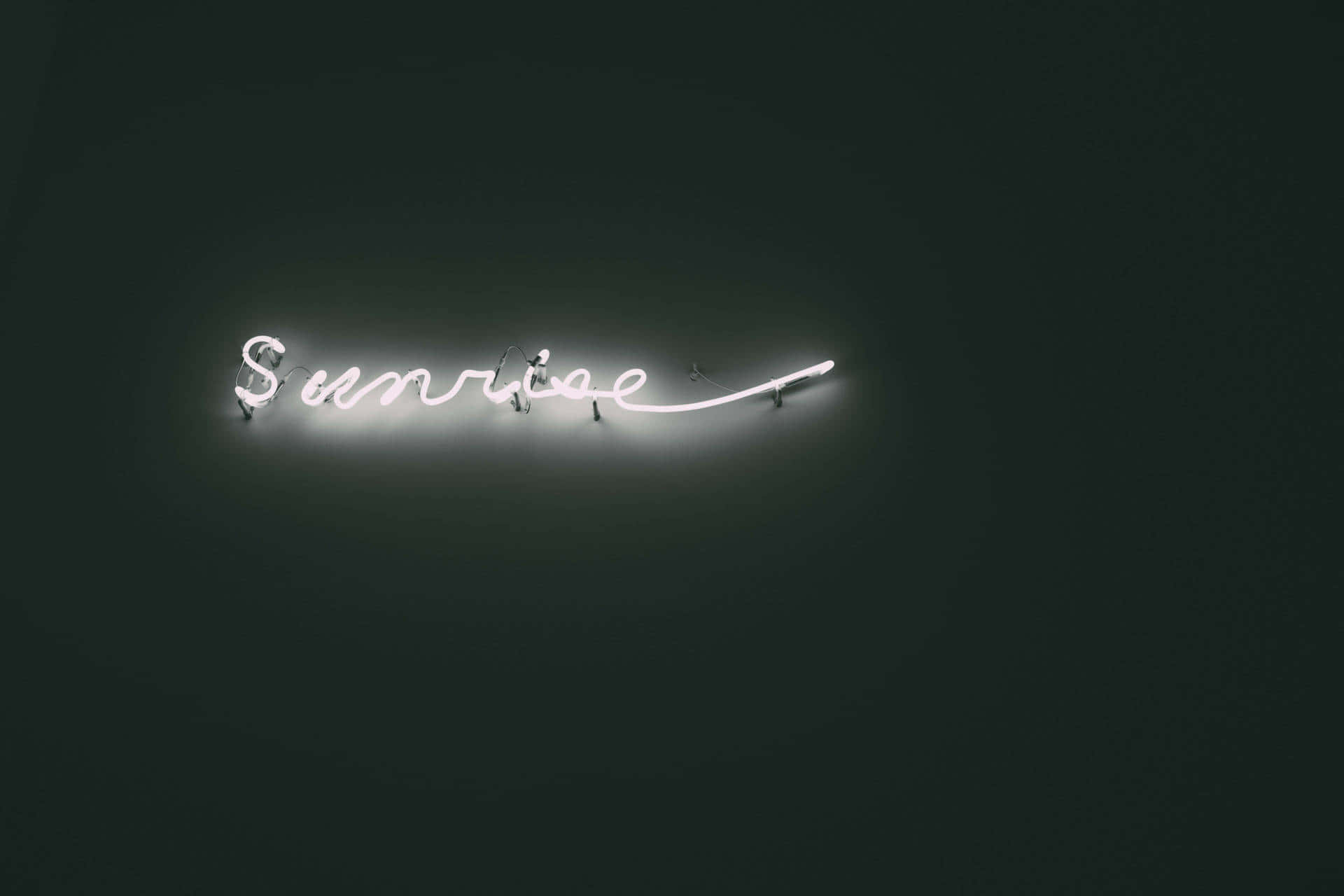 一個白色霓虹燈牌，在深綠色牆壁上顯示「Sunrise」。