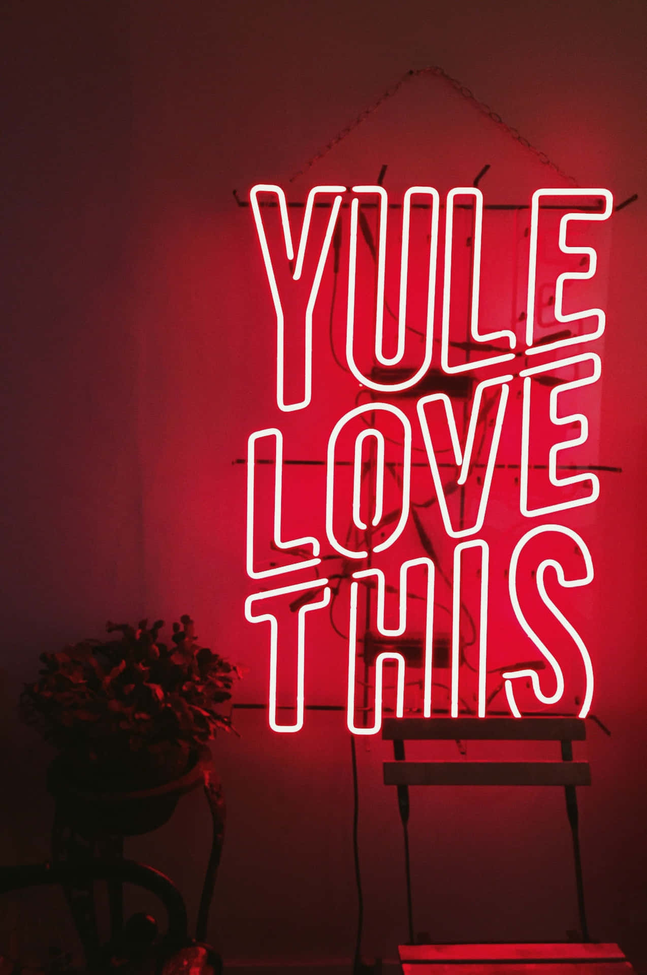 昏暗房間裡寫著 YULE LOVE THIS 的紅色霓虹燈牌，旁邊有一棵植物。