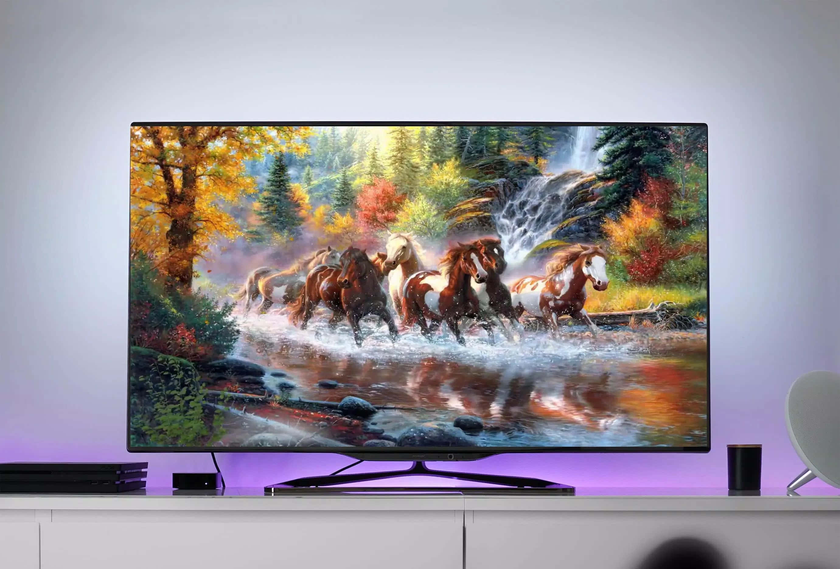 tv 桌布 壁紙 — 電視顯示一幅充滿活力的畫作，描繪野馬在秋葉和瀑布的森林溪流中奔騰。