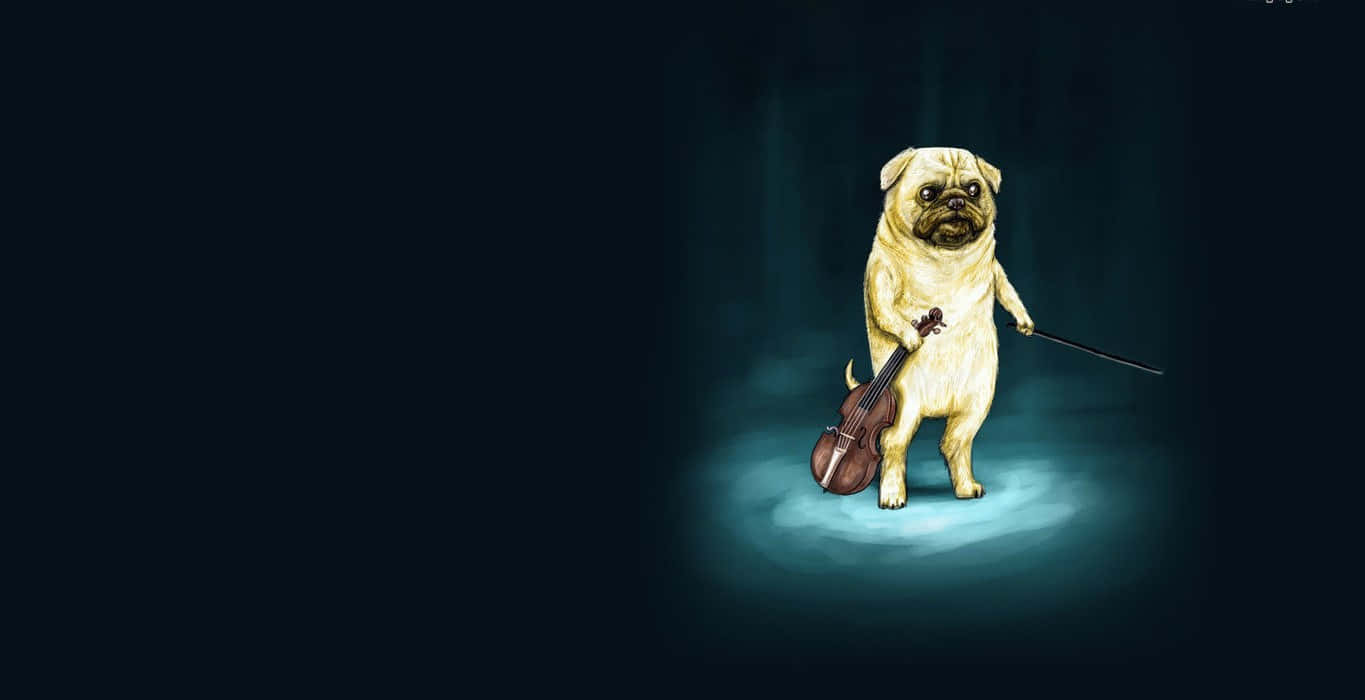 一隻八哥犬在明亮的舞台上手持小提琴和指揮棒。