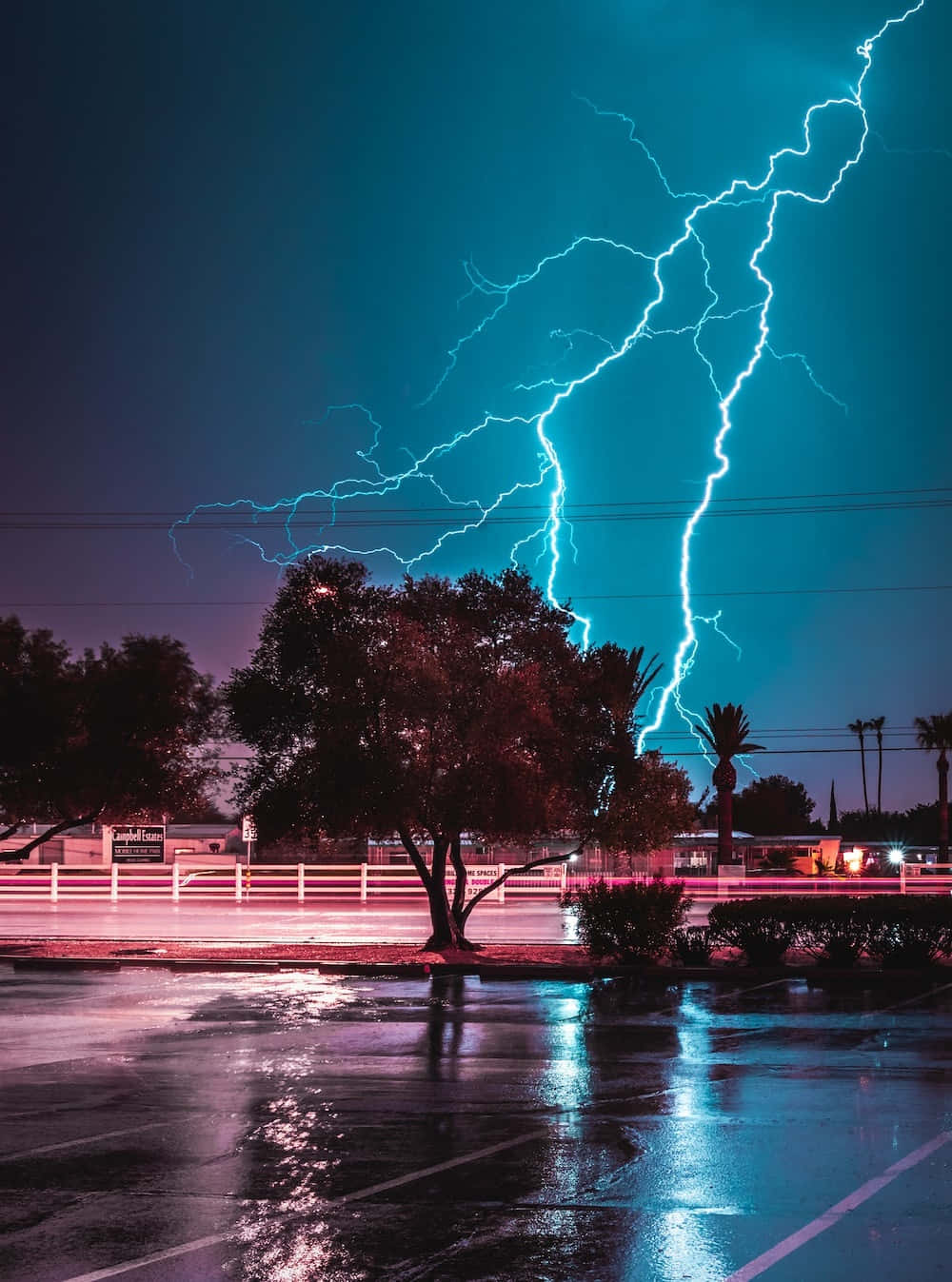 震撼的閃電之美 壁紙 — 一道強勁的藍色閃電在夜間擊中濕漉漉的停車場，照亮了黑暗天空下的樹木和棕櫚葉。