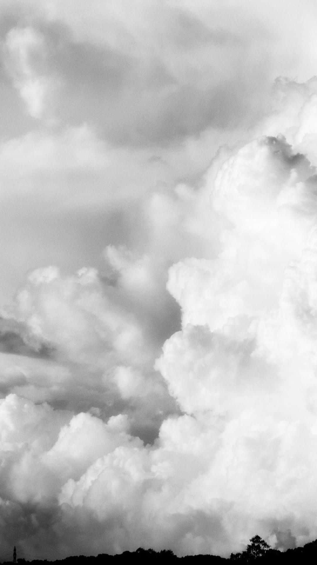 震撼的黑白天空 壁紙 — 戲劇性的單色雲朵在頭頂翻滾湧動，與深色樹線剪影形成鮮明對比。