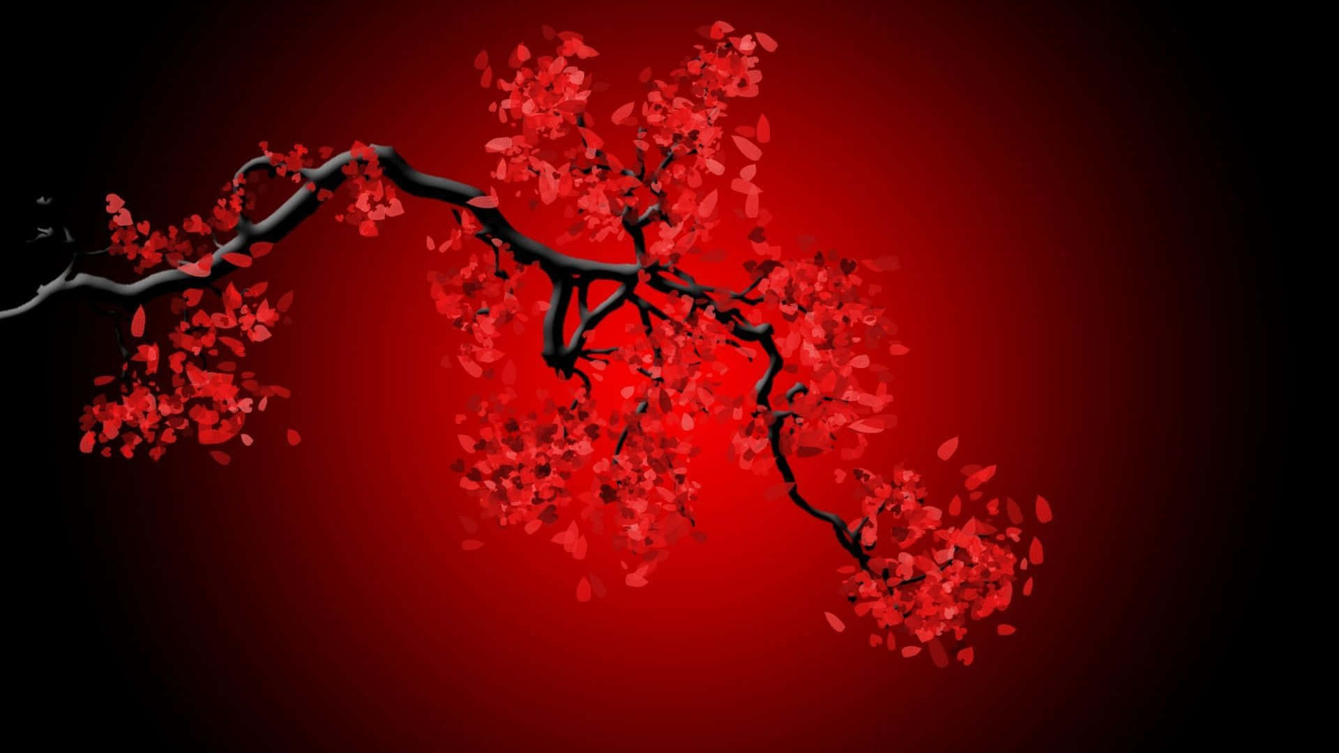 黑色櫻桃樹枝在紅色漸變背景上綻放紅色花朵