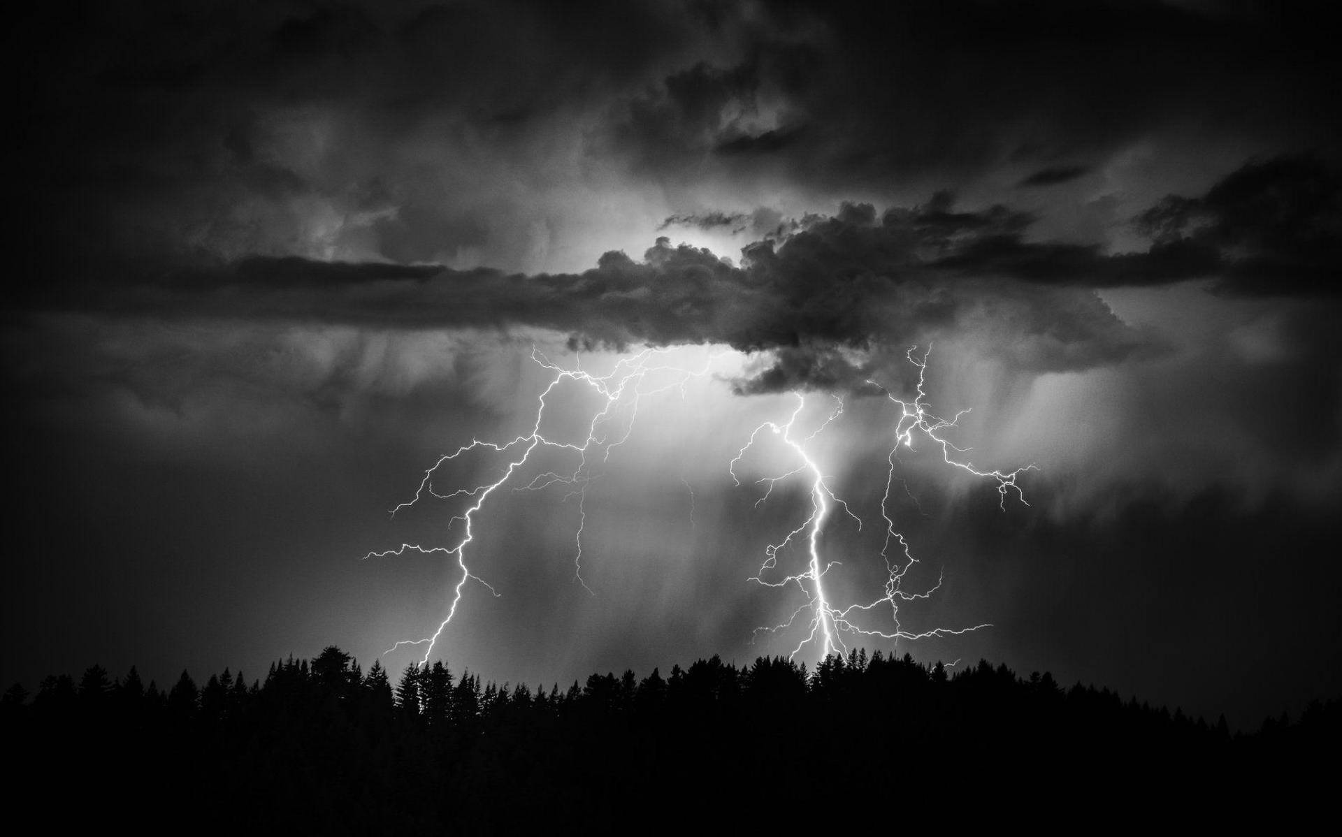 閃電劃過暴風雲層，照亮黑暗的森林剪影。